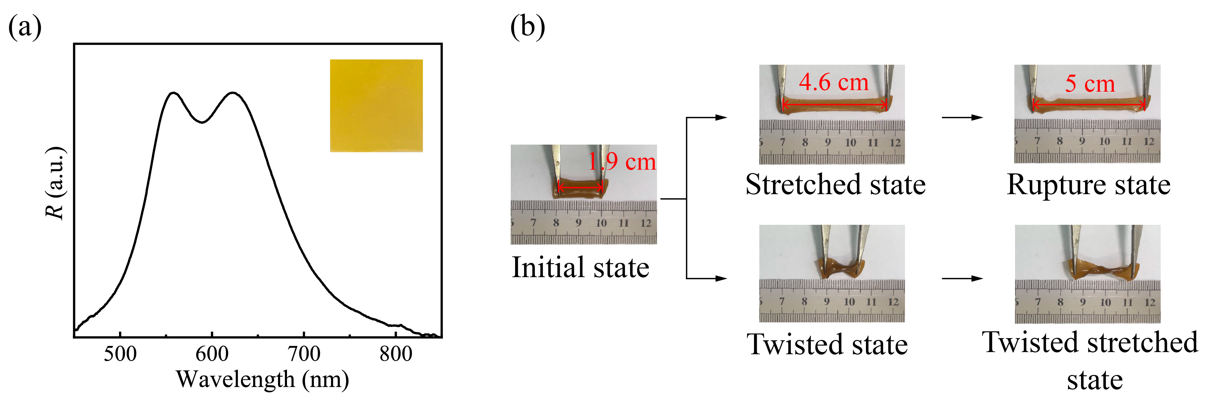 Nanomaterials 13 02632 g005