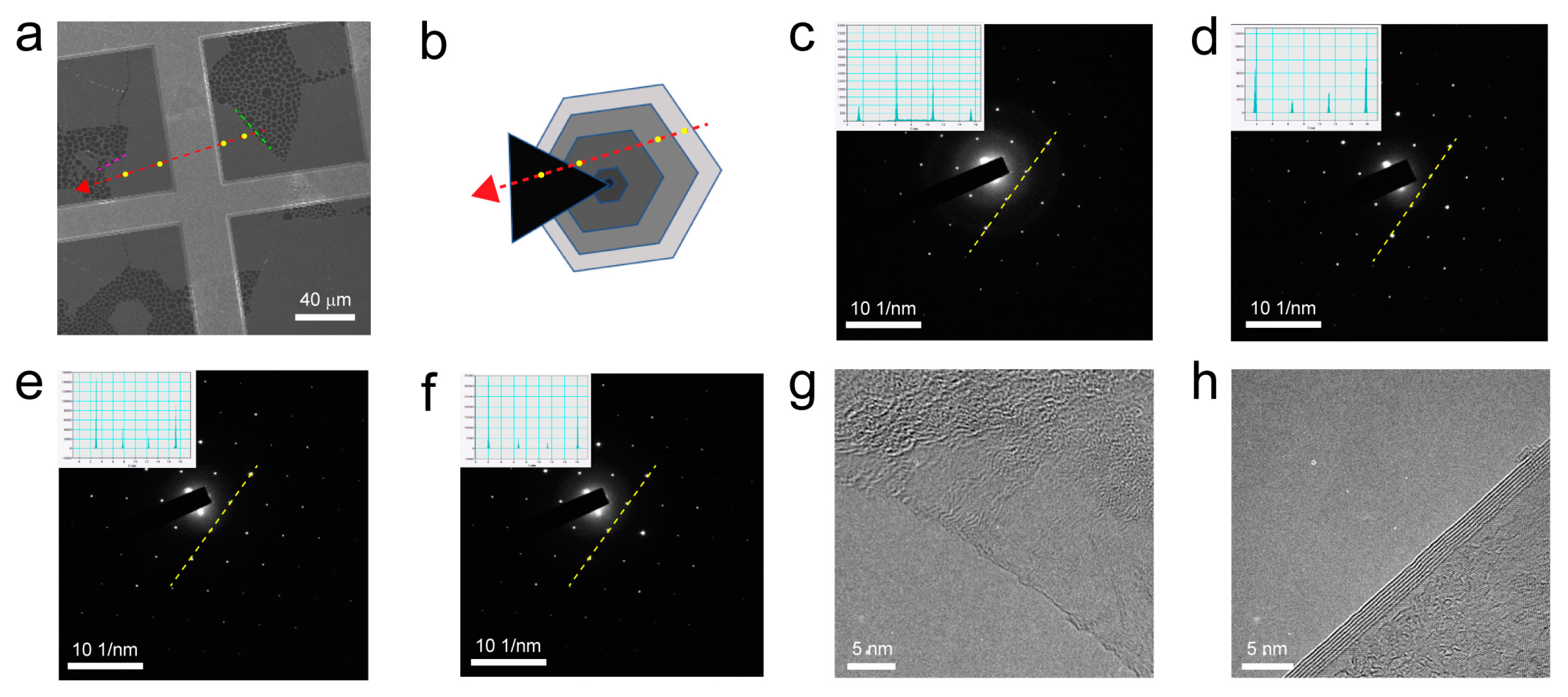 Nanomaterials 13 02634 g003