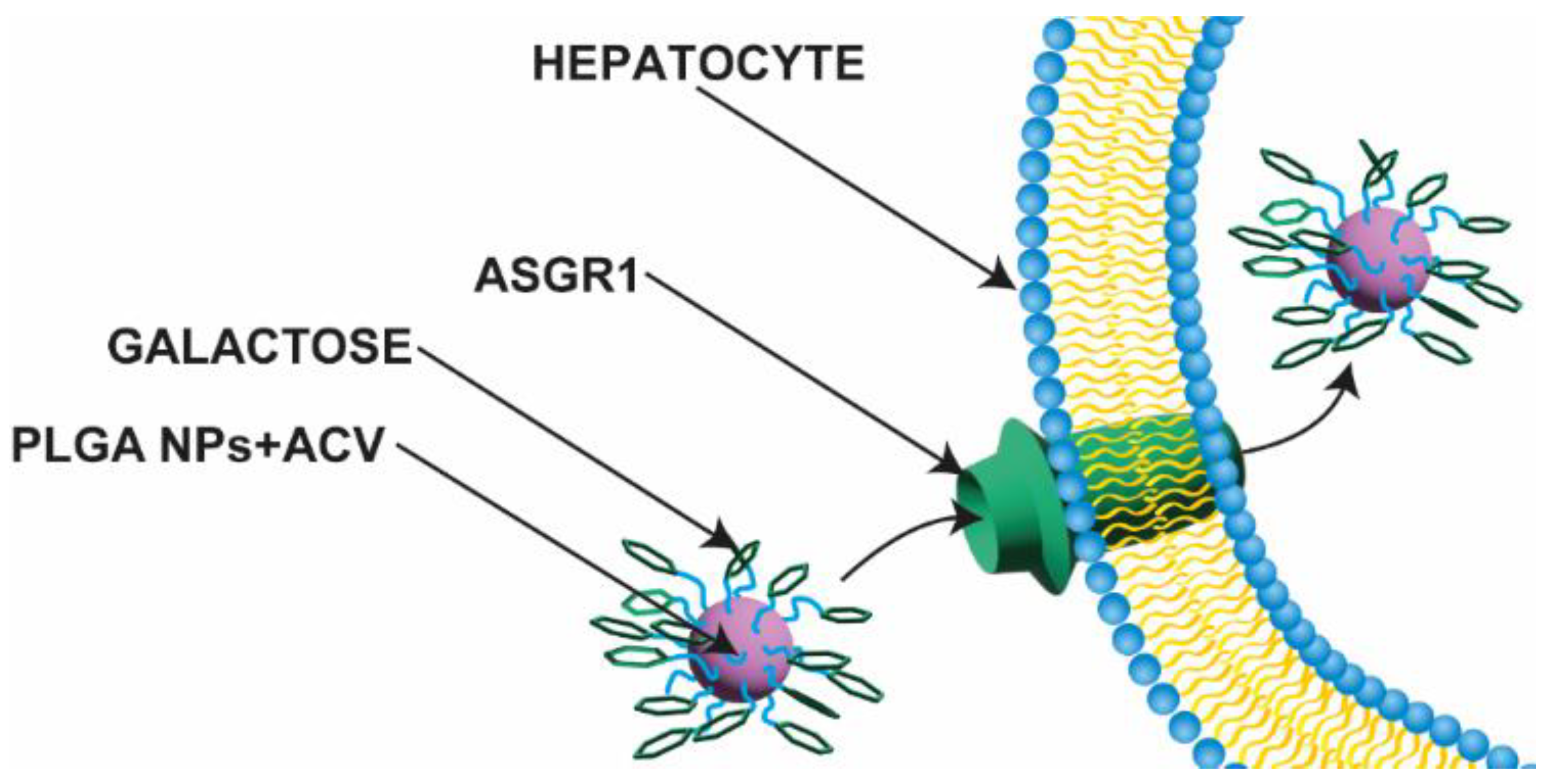Nanomaterials 13 02647 g002