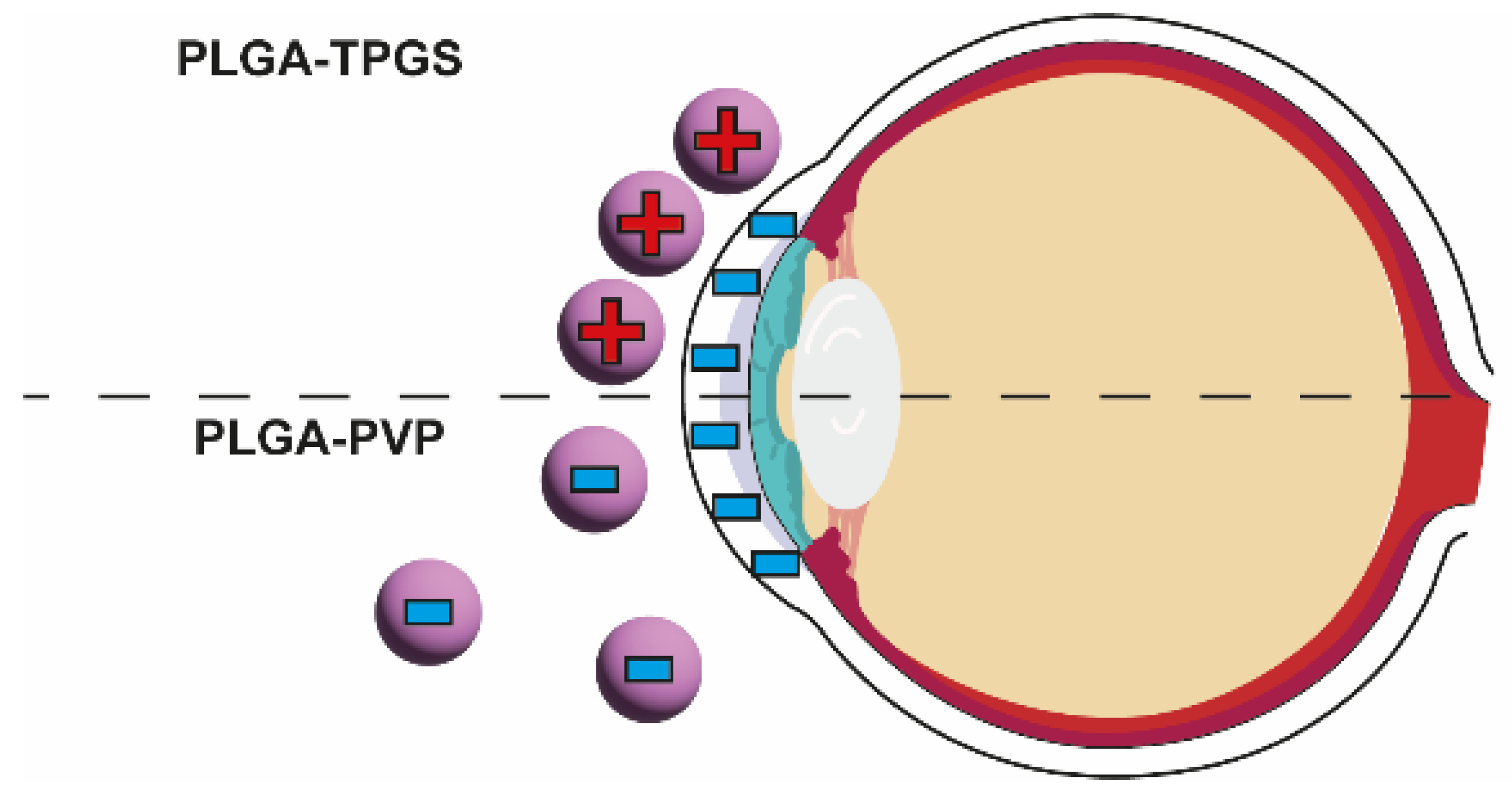 Nanomaterials 13 02647 g003