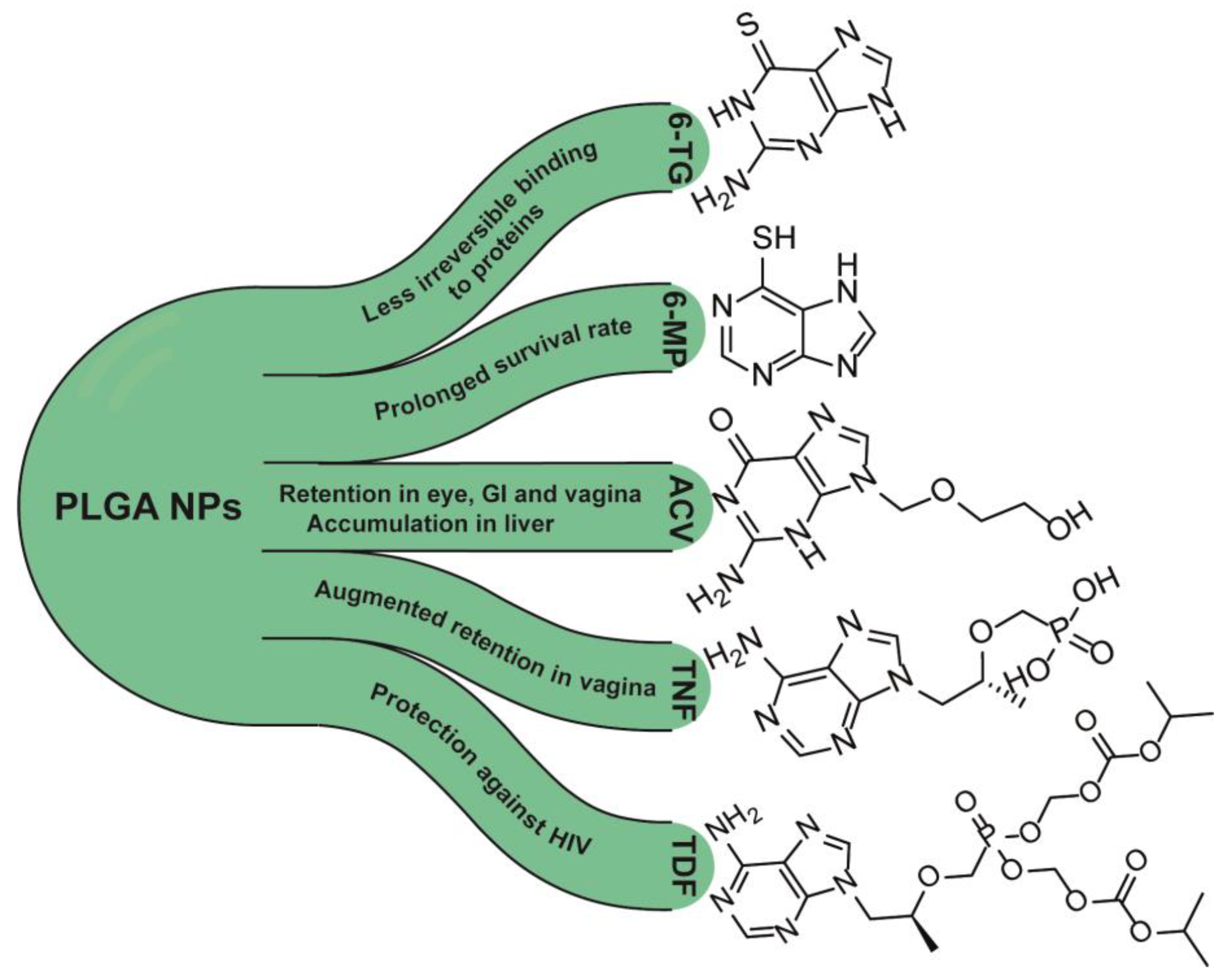 Nanomaterials 13 02647 g004
