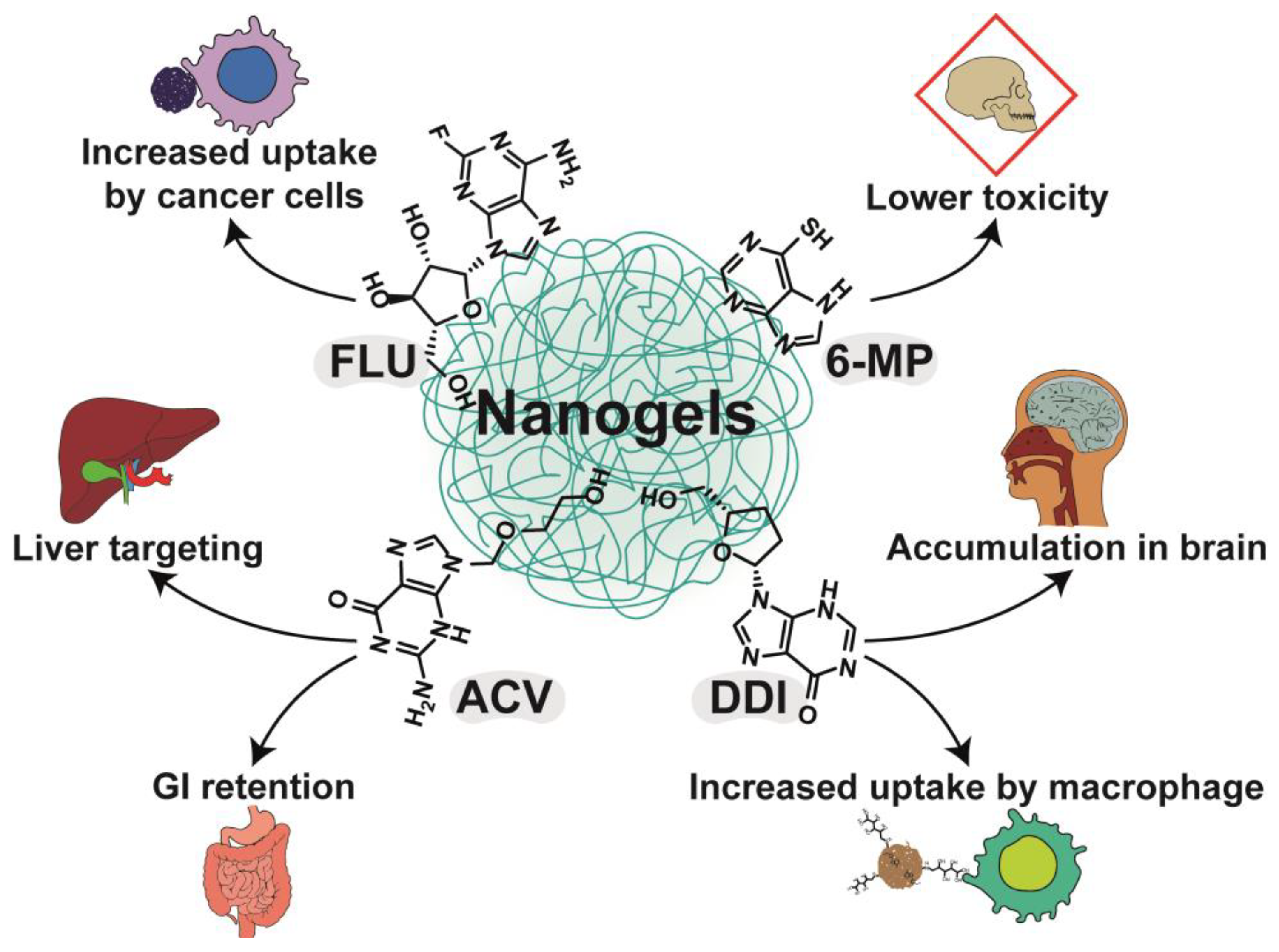 Nanomaterials 13 02647 g009