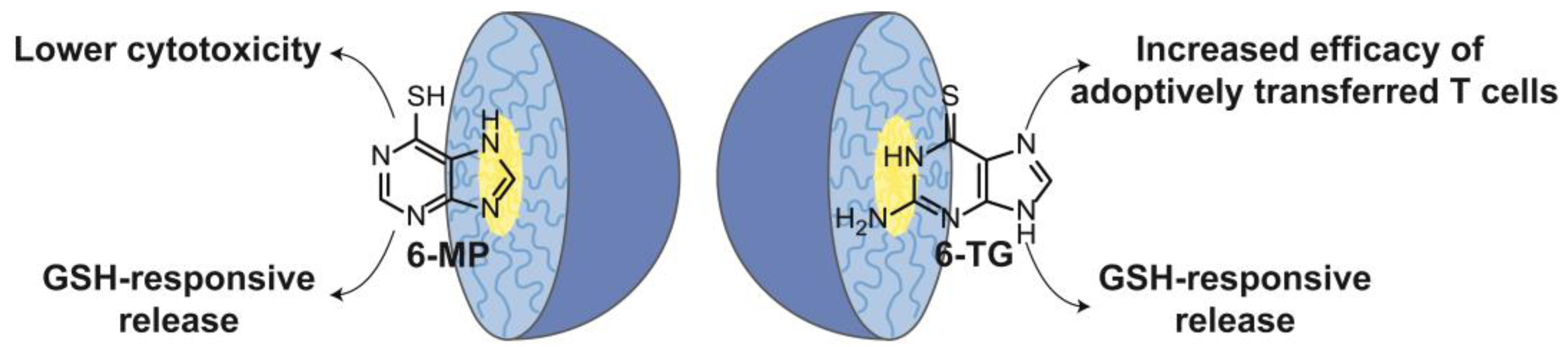 Nanomaterials 13 02647 g012