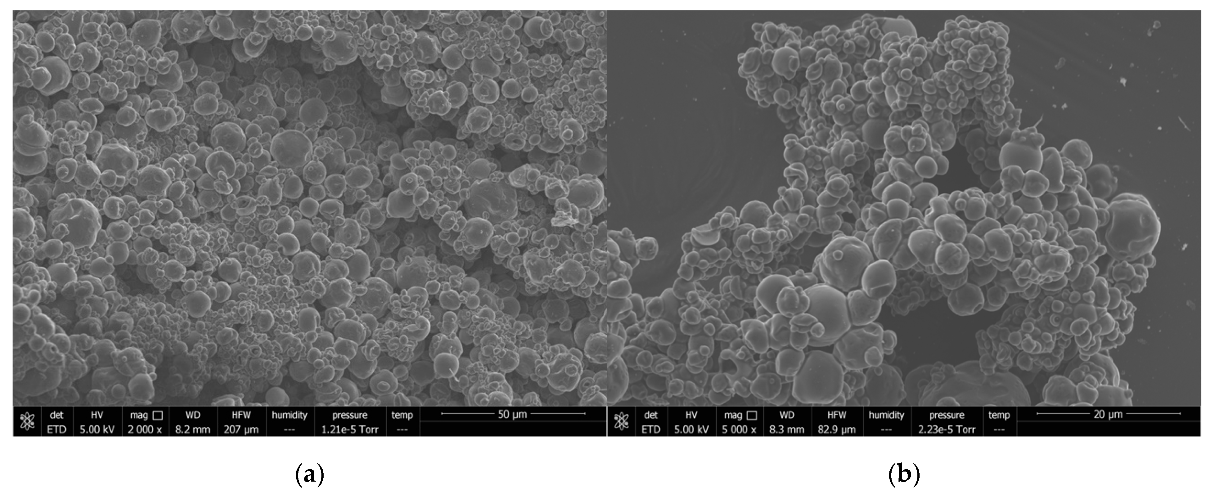 Nanomaterials 13 02651 g006a