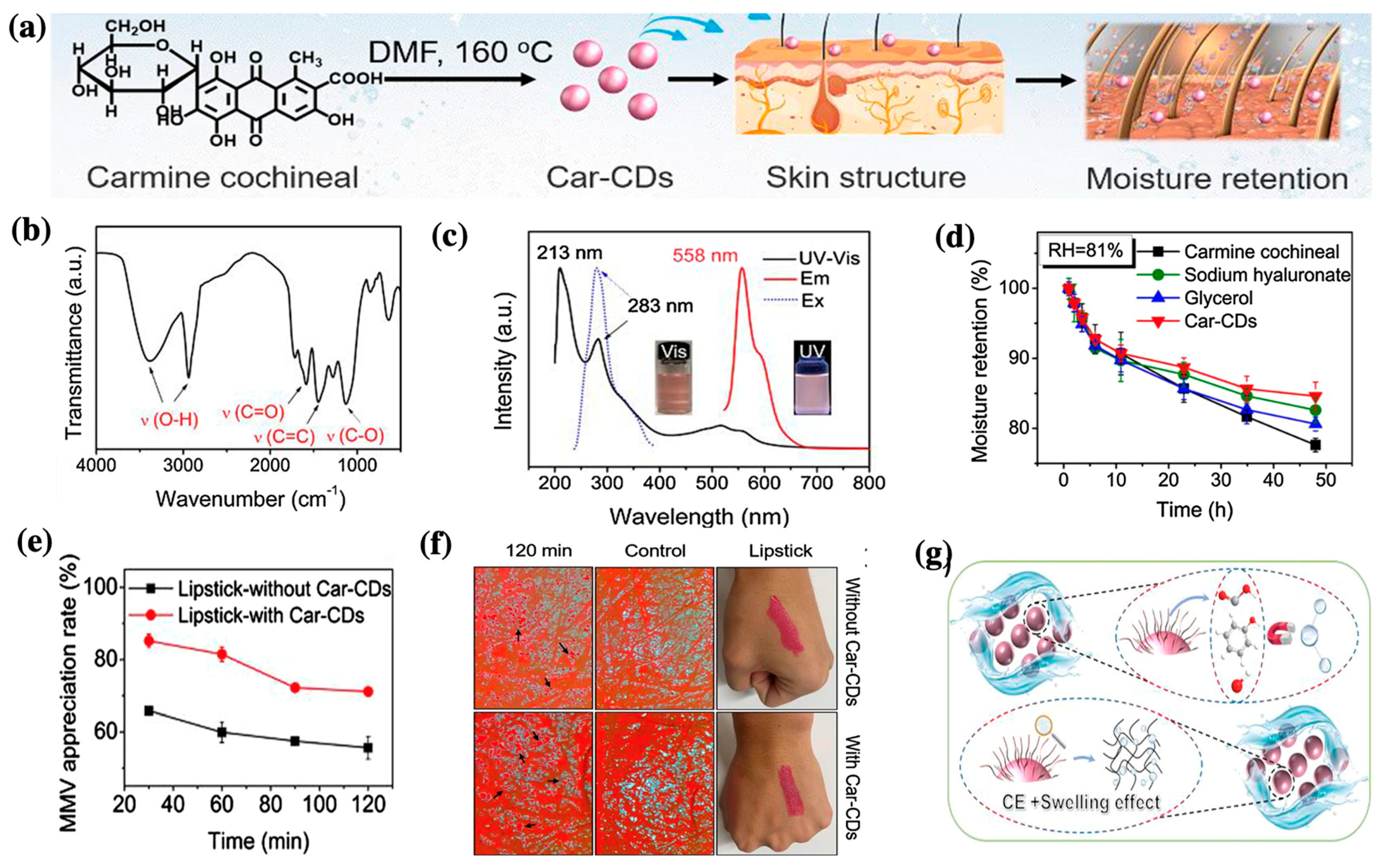 Nanomaterials 13 02654 g004