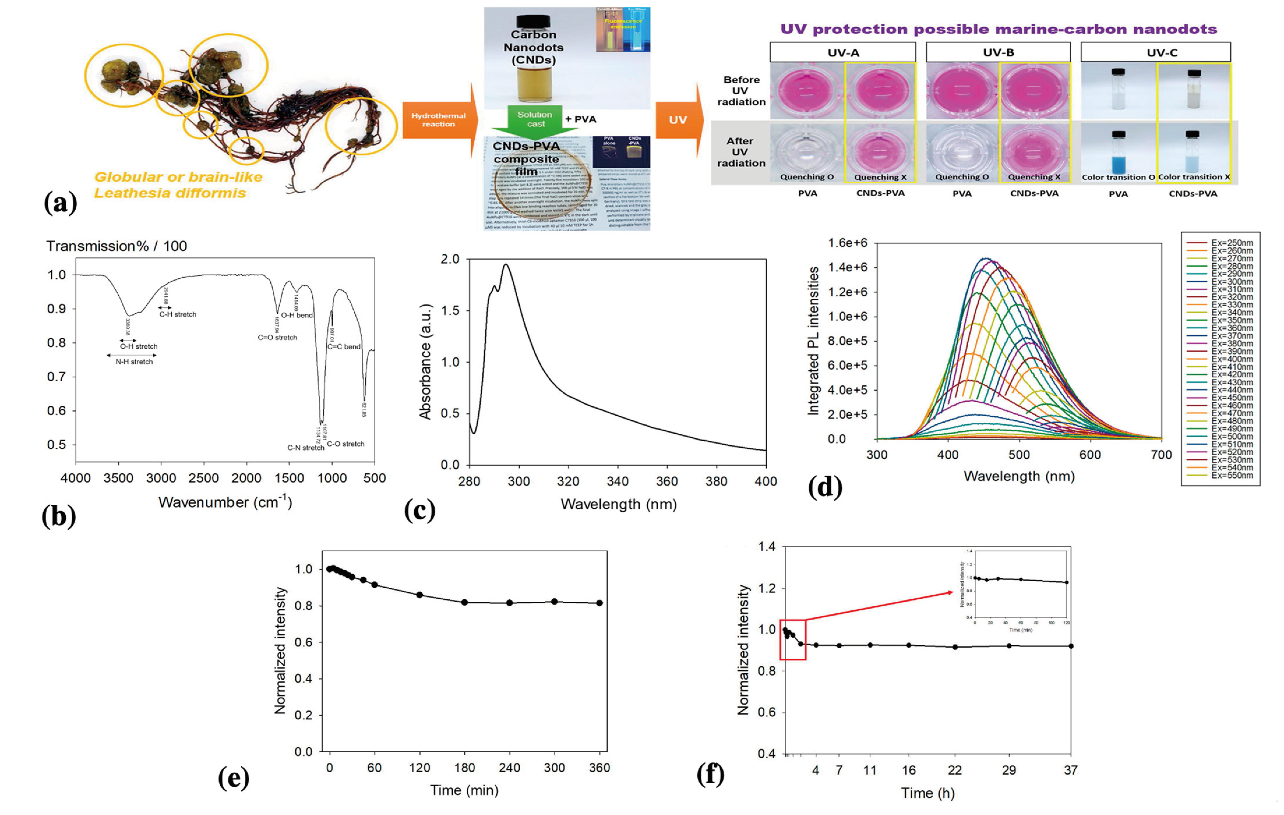 Nanomaterials 13 02654 g005