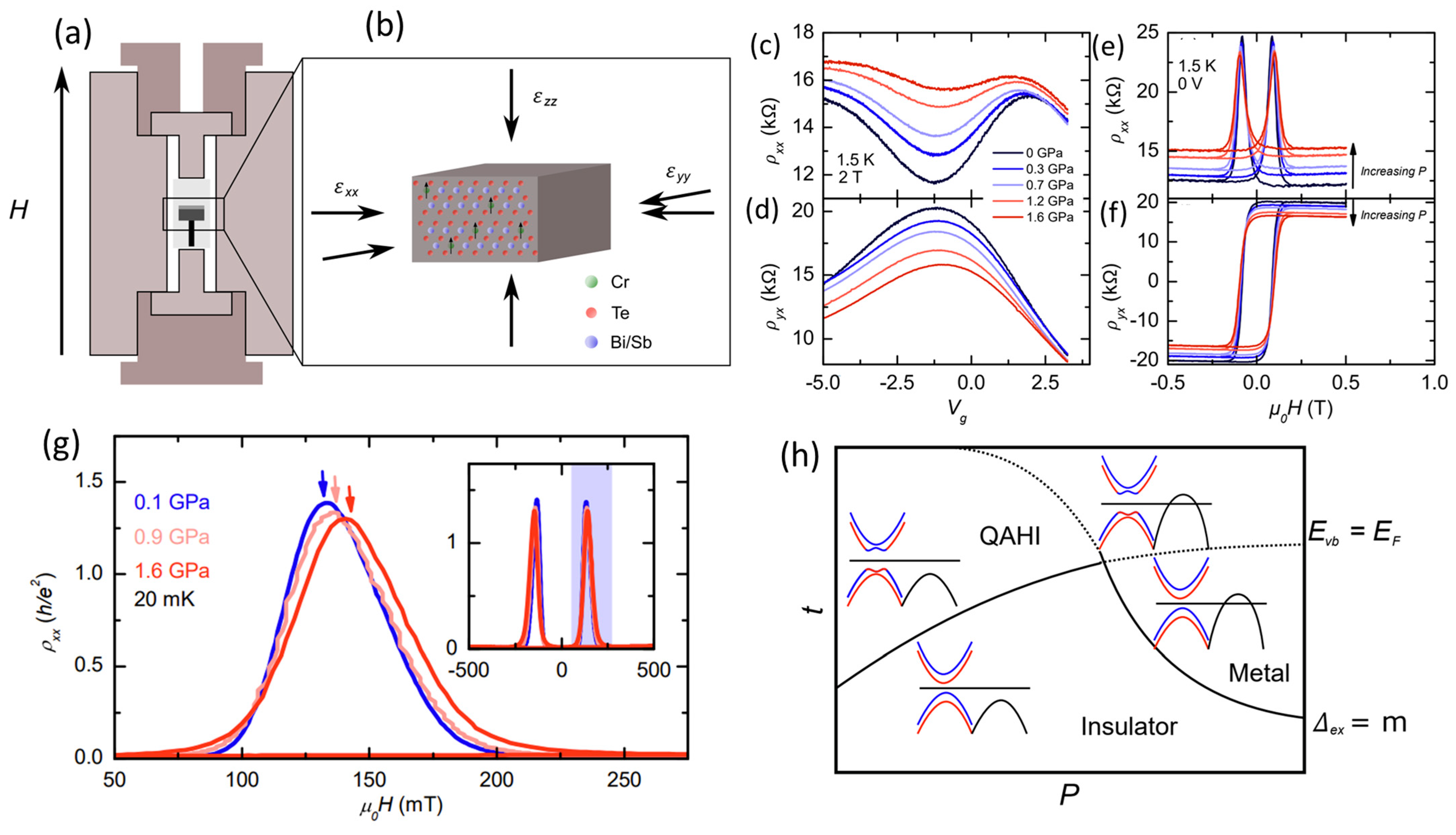 Nanomaterials 13 02655 g004