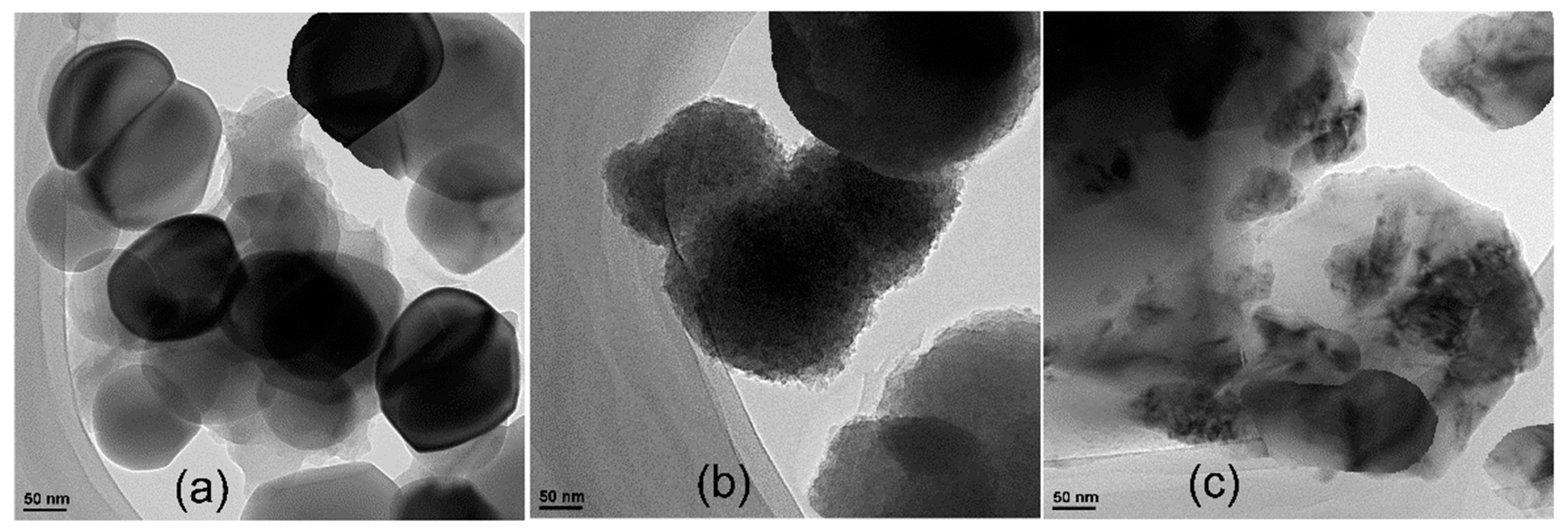 Nanomaterials 13 02664 g005
