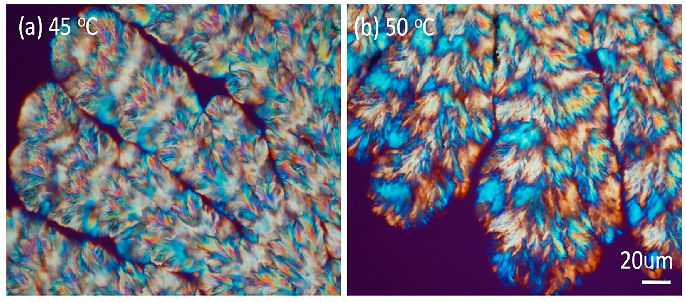 Nanomaterials 13 02665 g002
