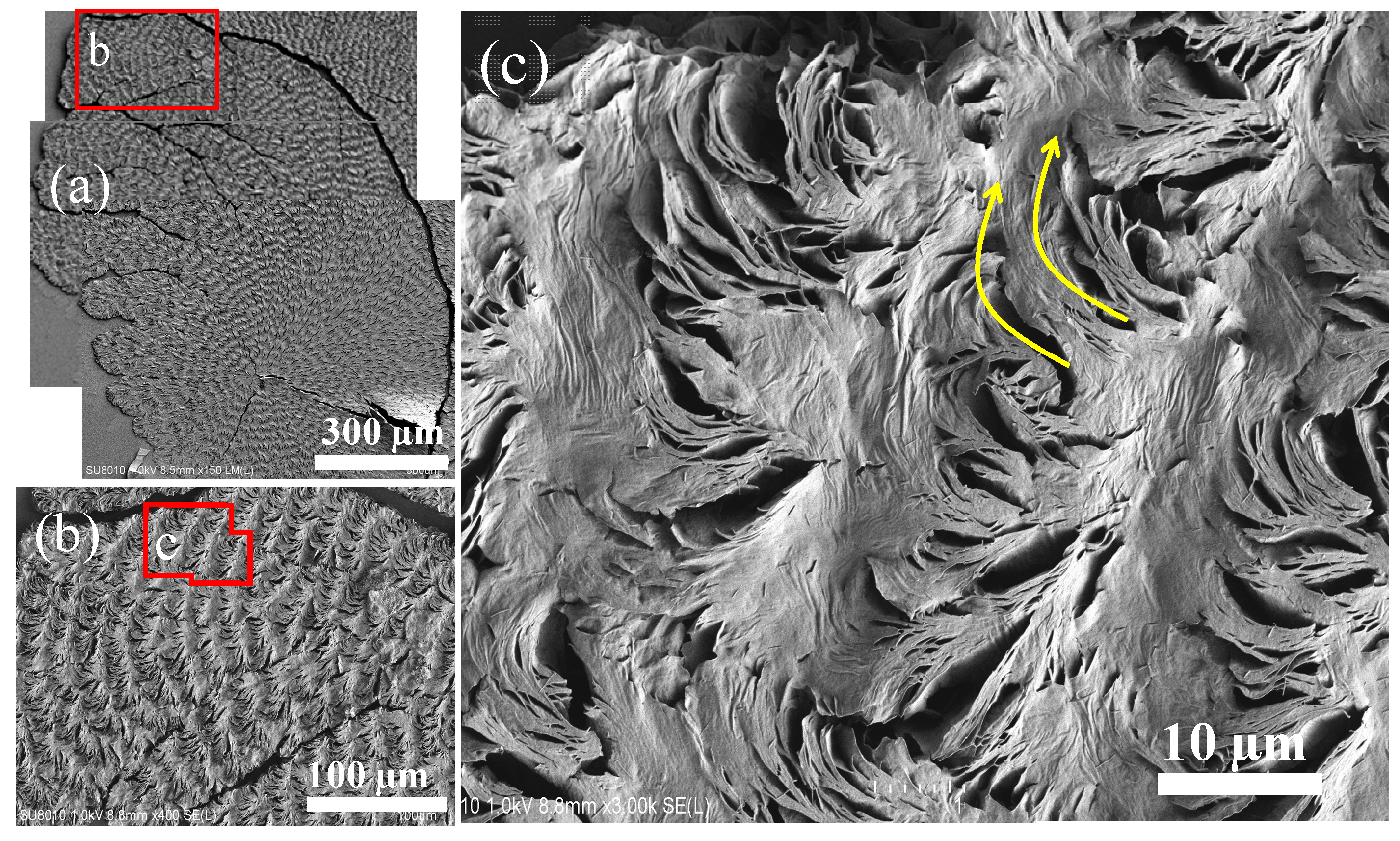 Nanomaterials 13 02665 g003