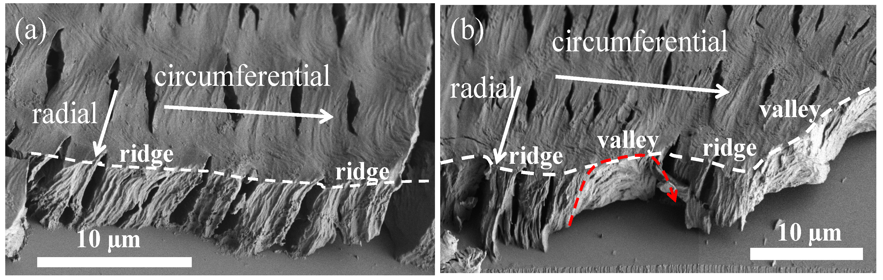 Nanomaterials 13 02665 g006
