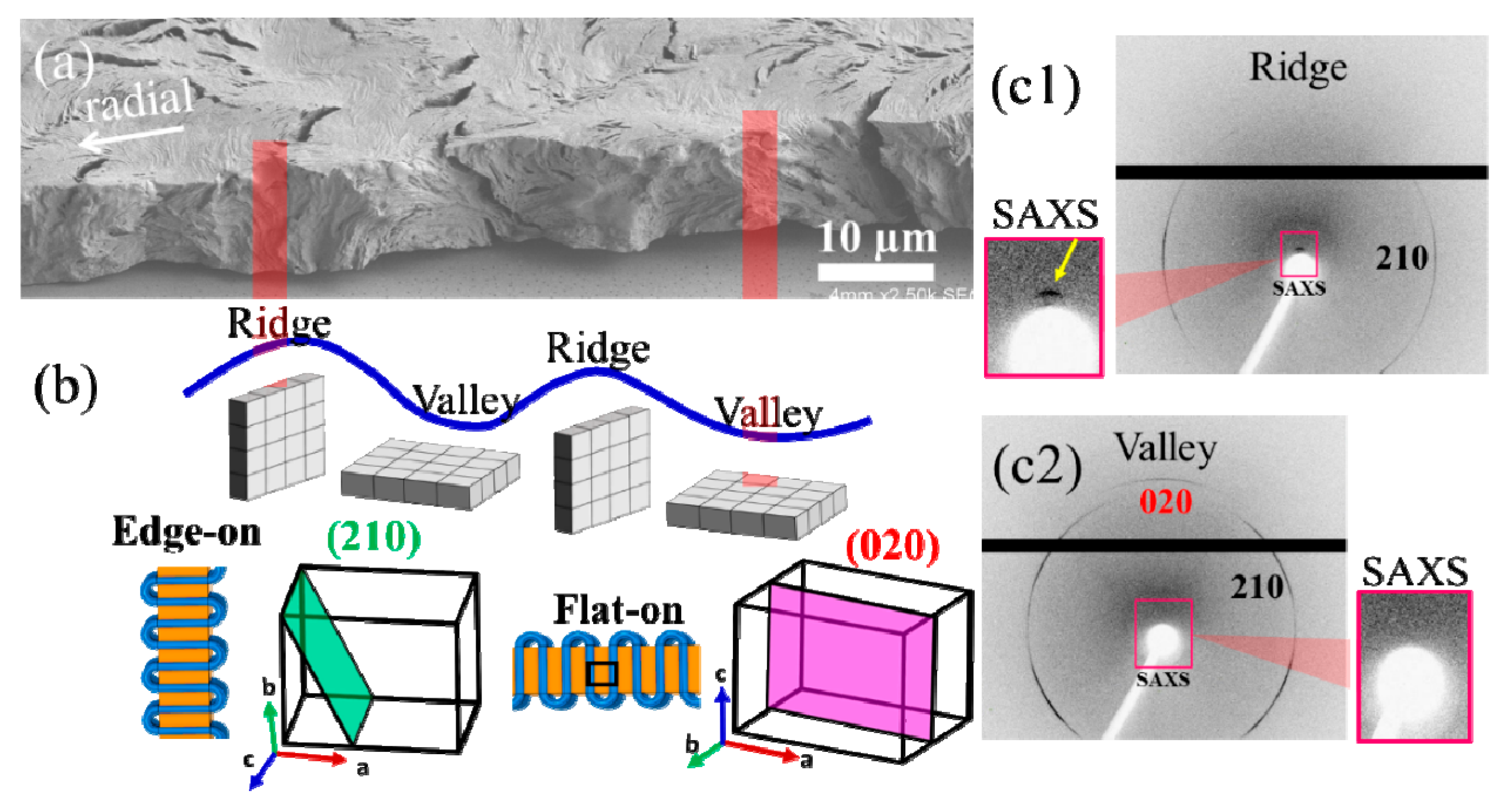 Nanomaterials 13 02665 g008