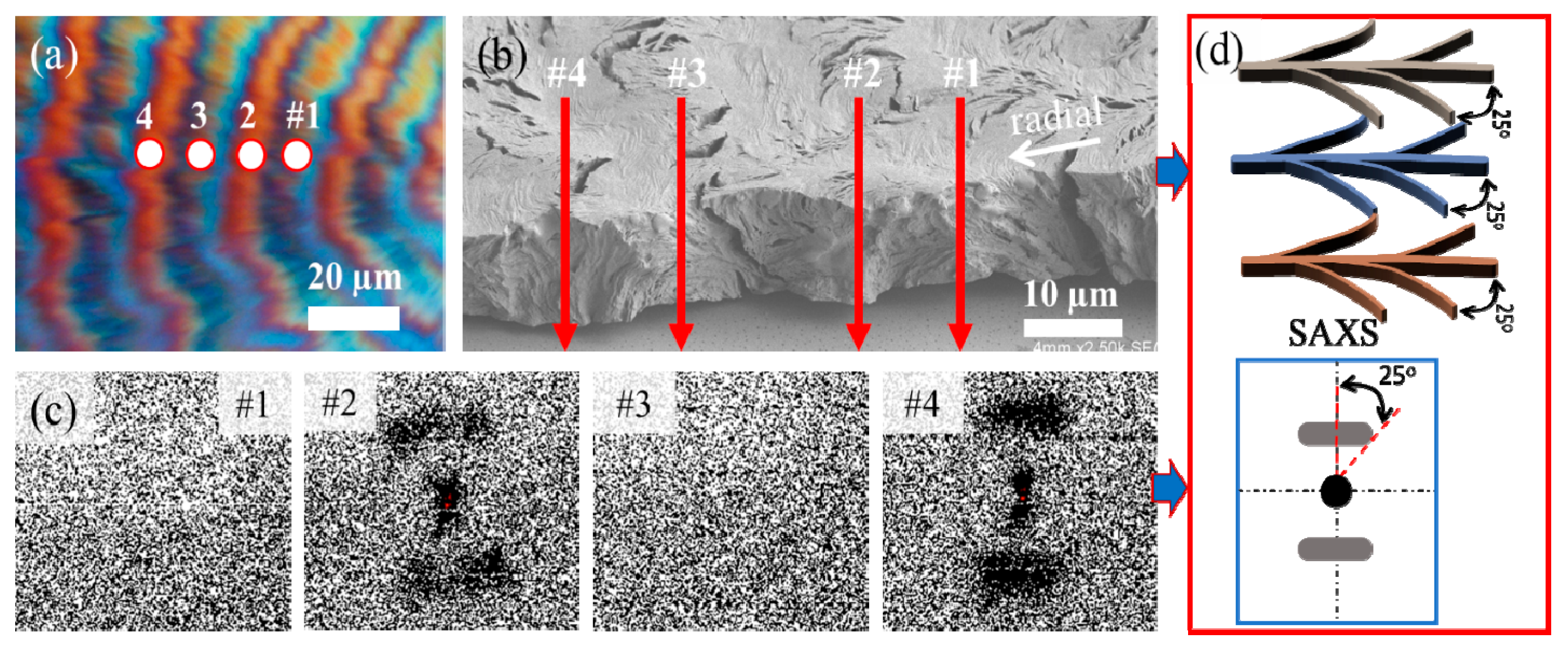 Nanomaterials 13 02665 g009