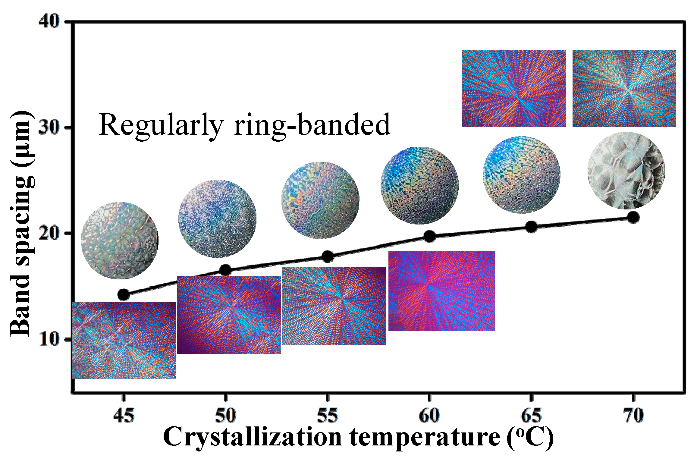Nanomaterials 13 02665 g010