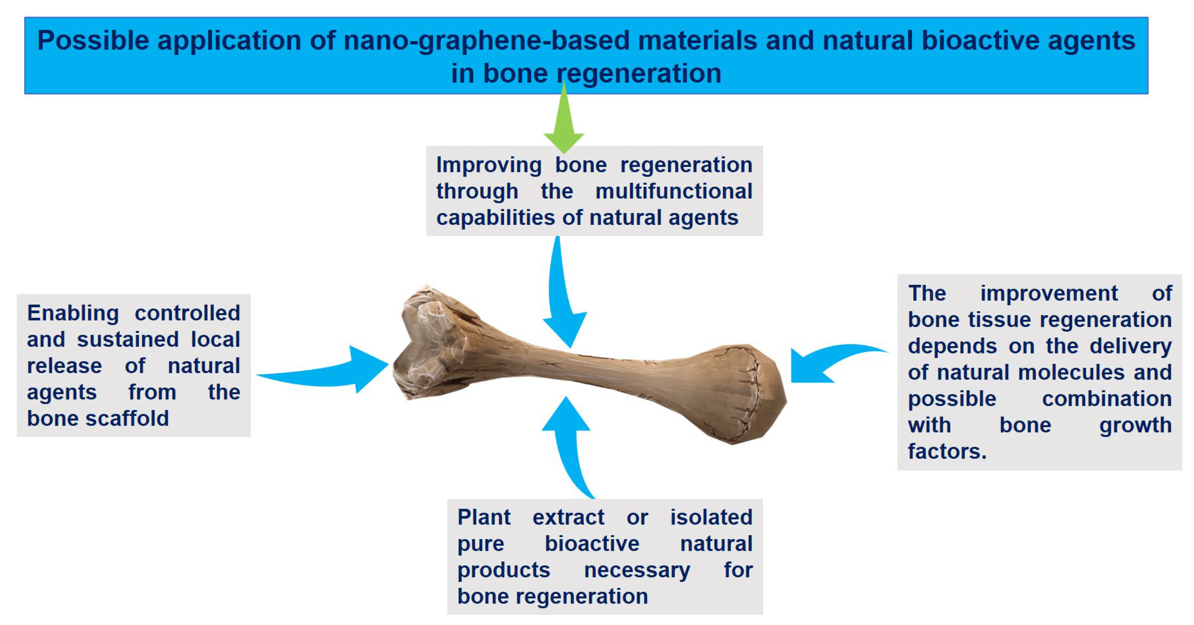 Nanomaterials 13 02666 g008 Nanomaterials 13 02666 g008