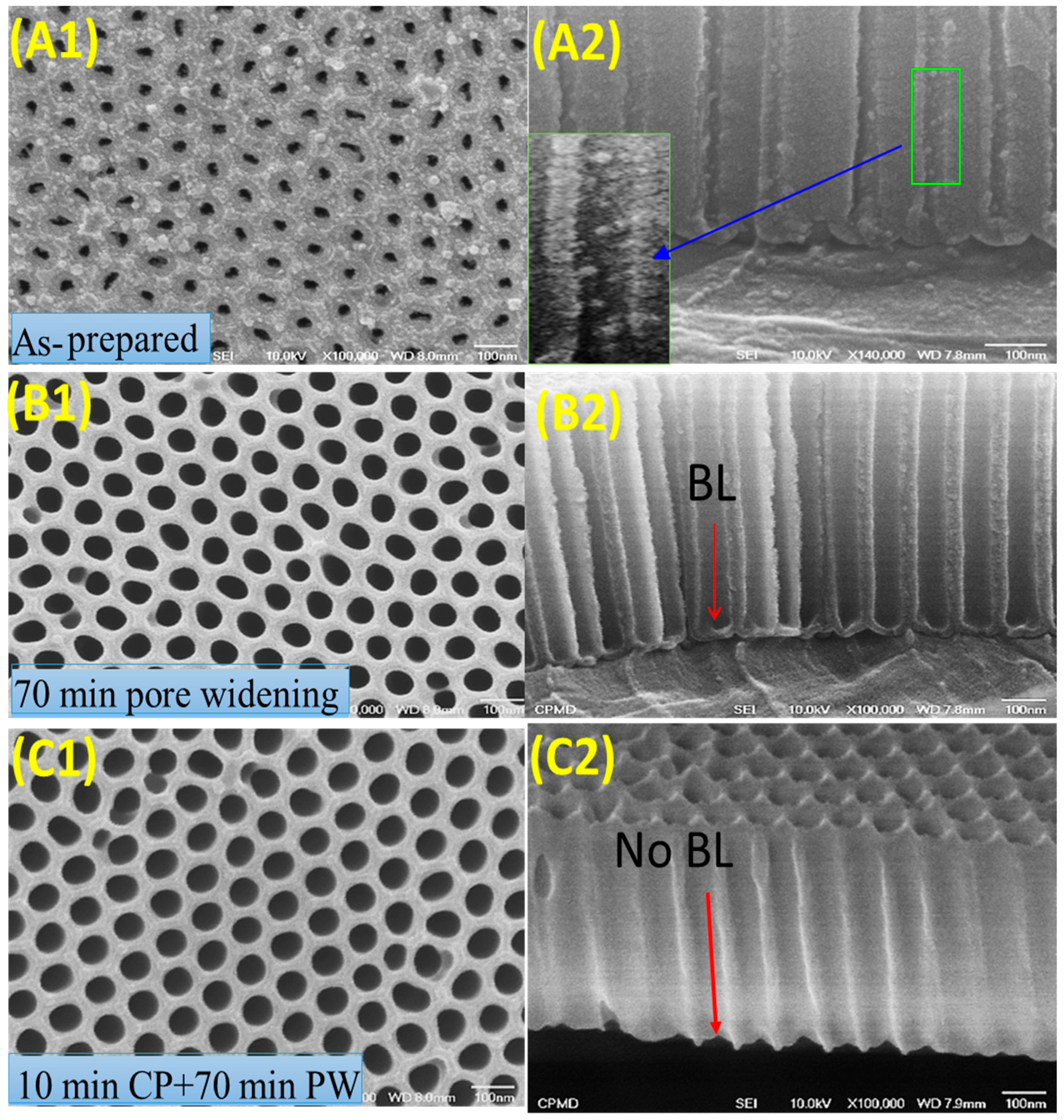 Nanomaterials 13 02667 g001