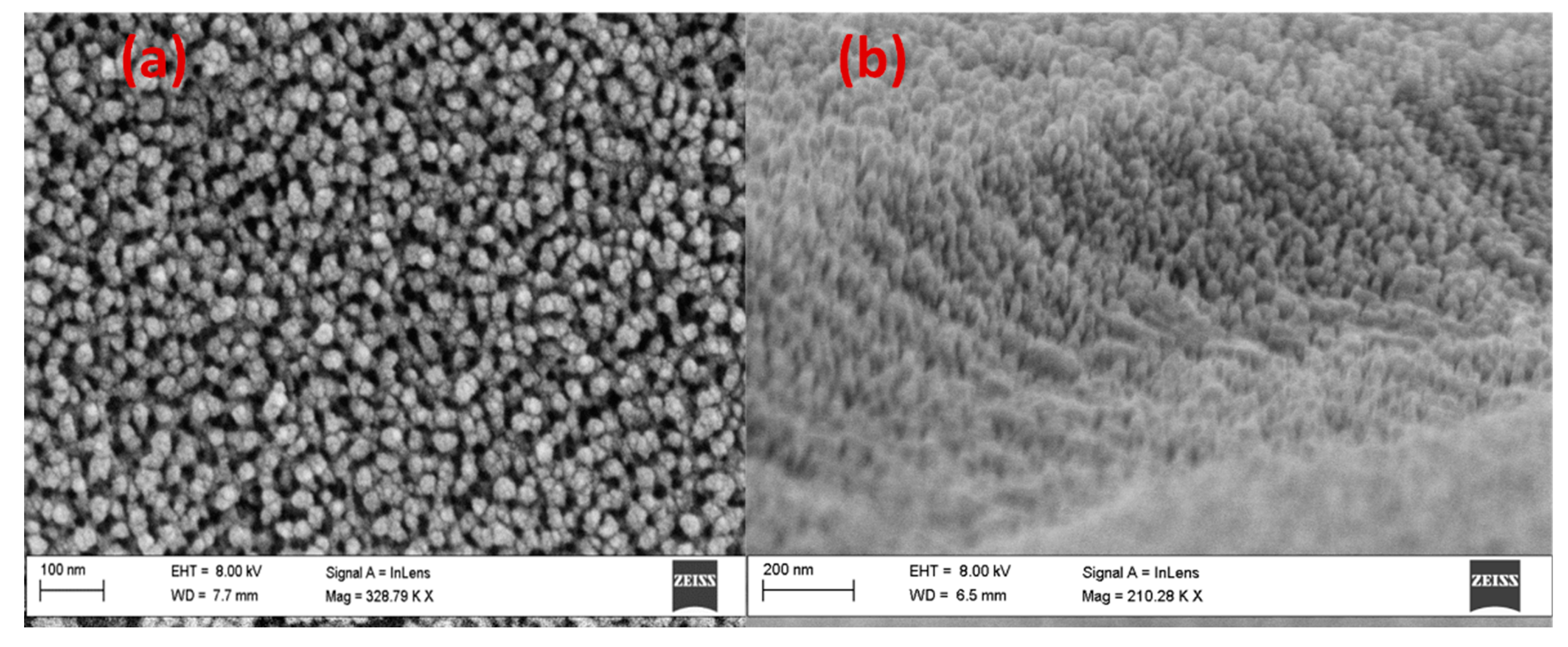 Nanomaterials 13 02667 g007