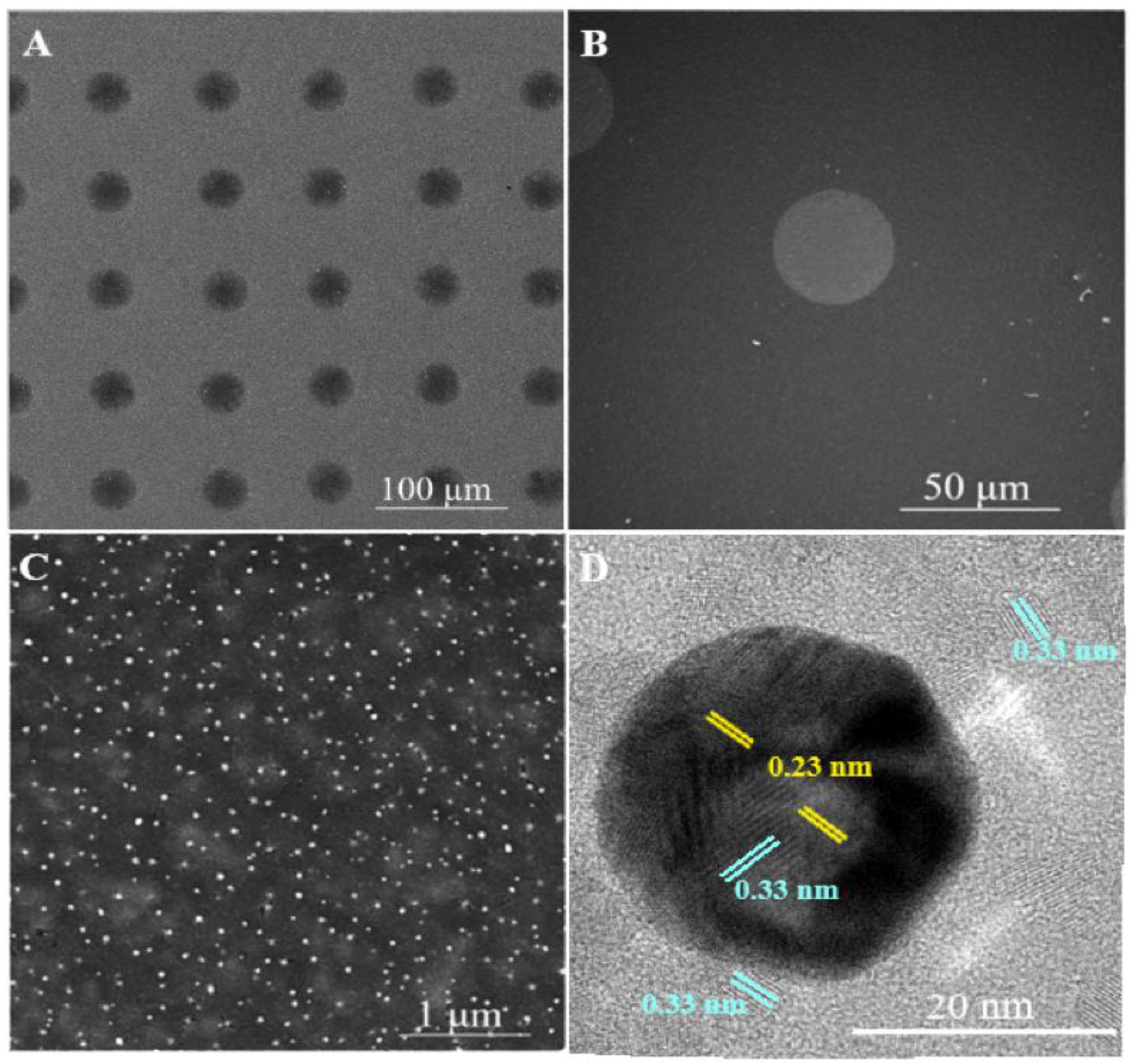 Nanomaterials 13 02675 g003