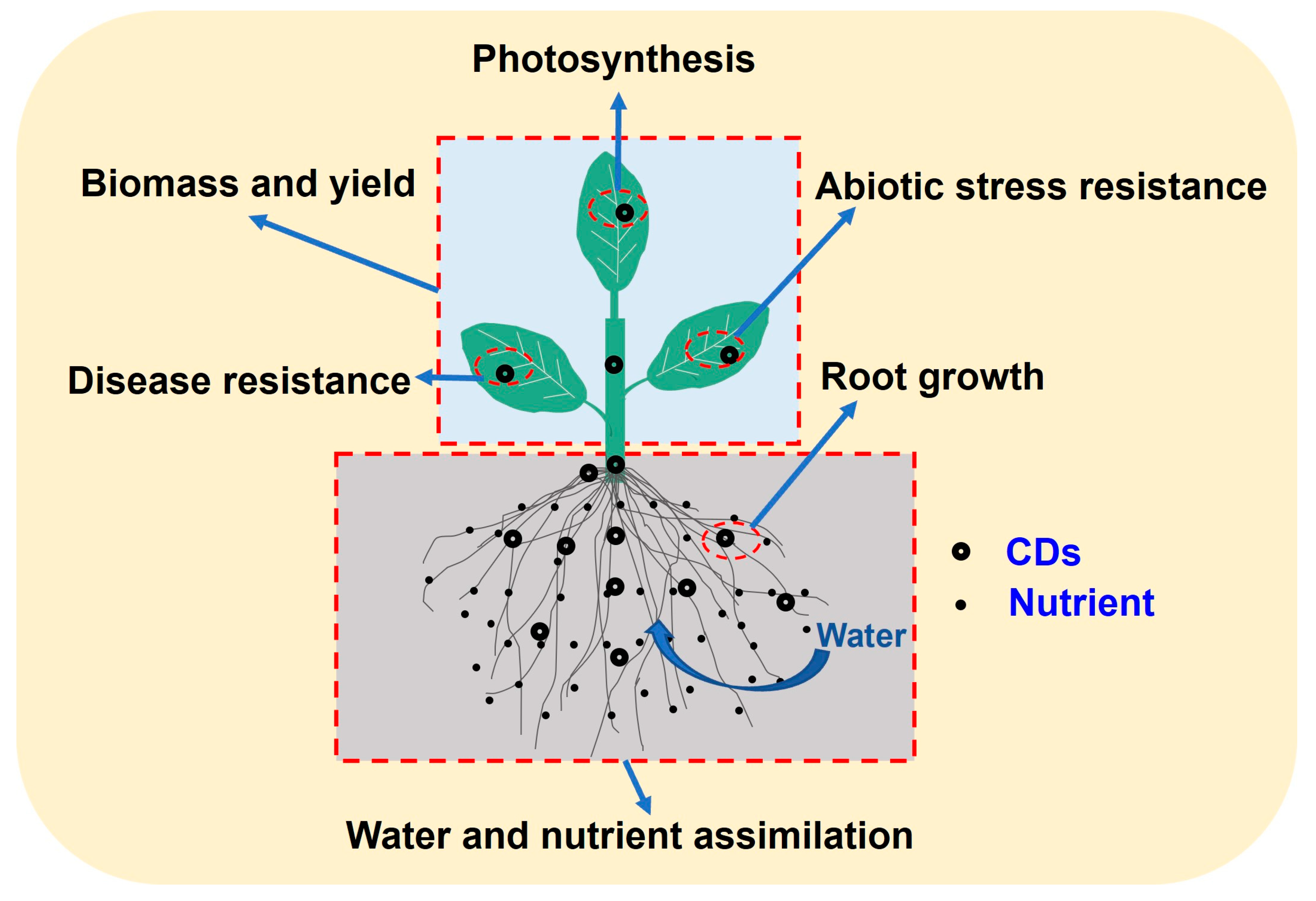 Nanomaterials 13 02684 g002