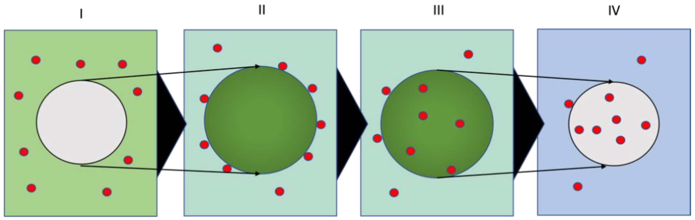 Nanomaterials 13 02687 g001 Nanomaterials 13 02687 g001