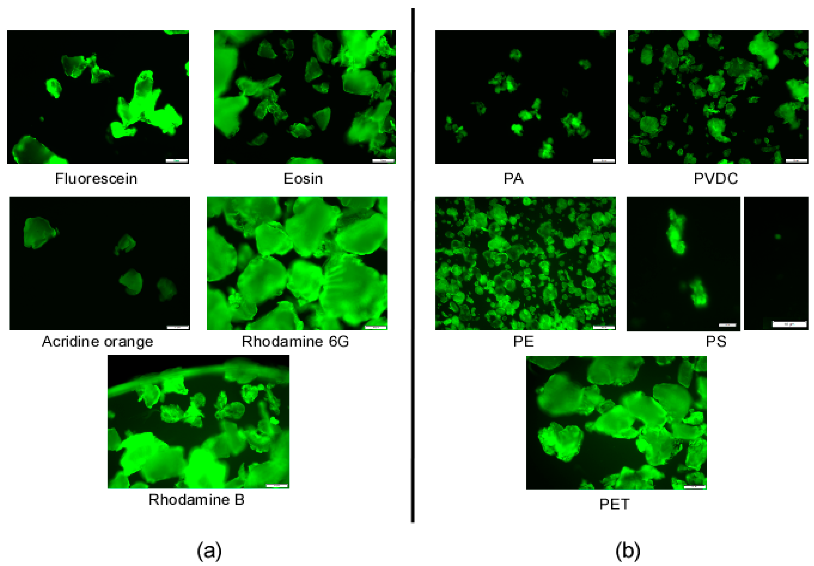 Nanomaterials 13 02687 g007 Nanomaterials 13 02687 g007