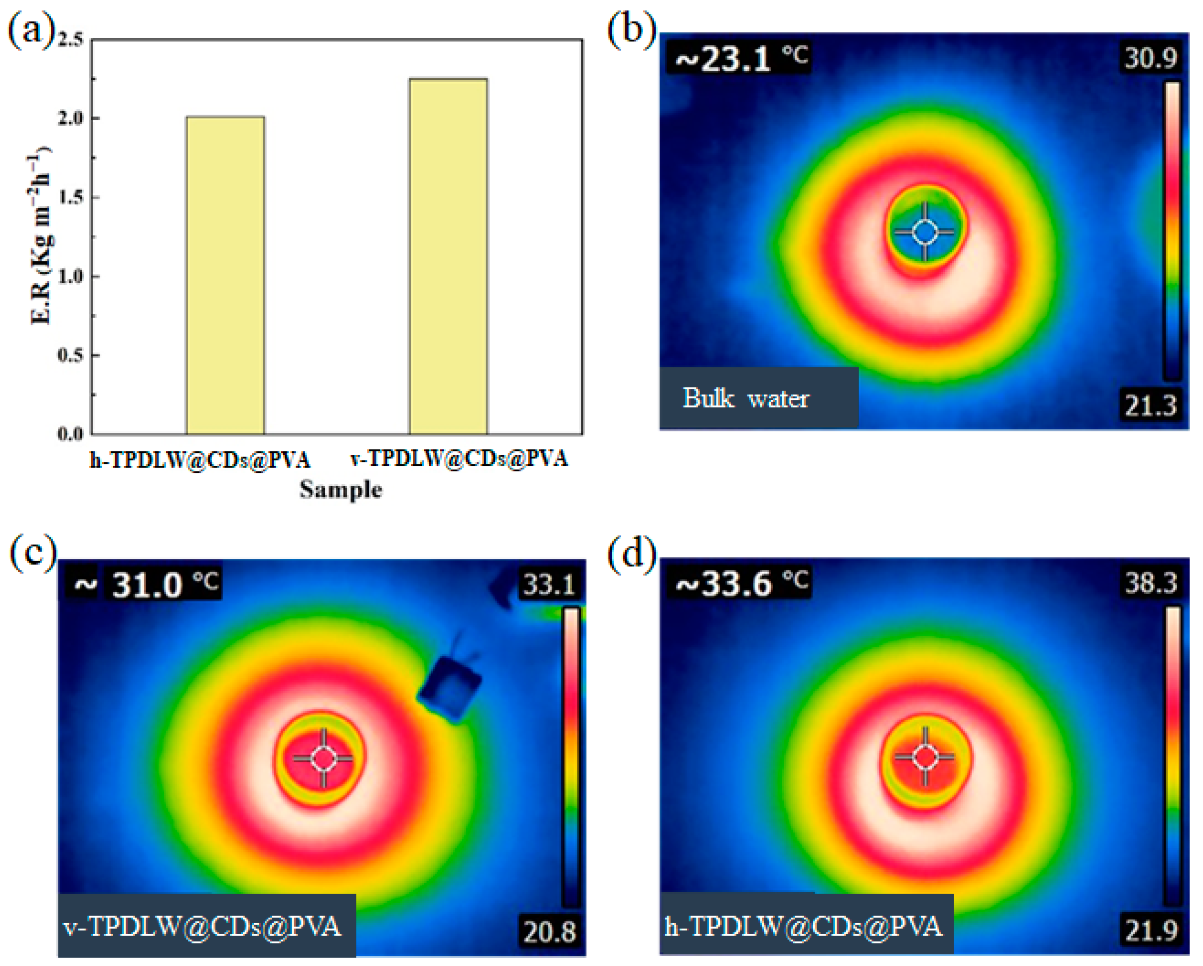 Nanomaterials 13 02696 g004