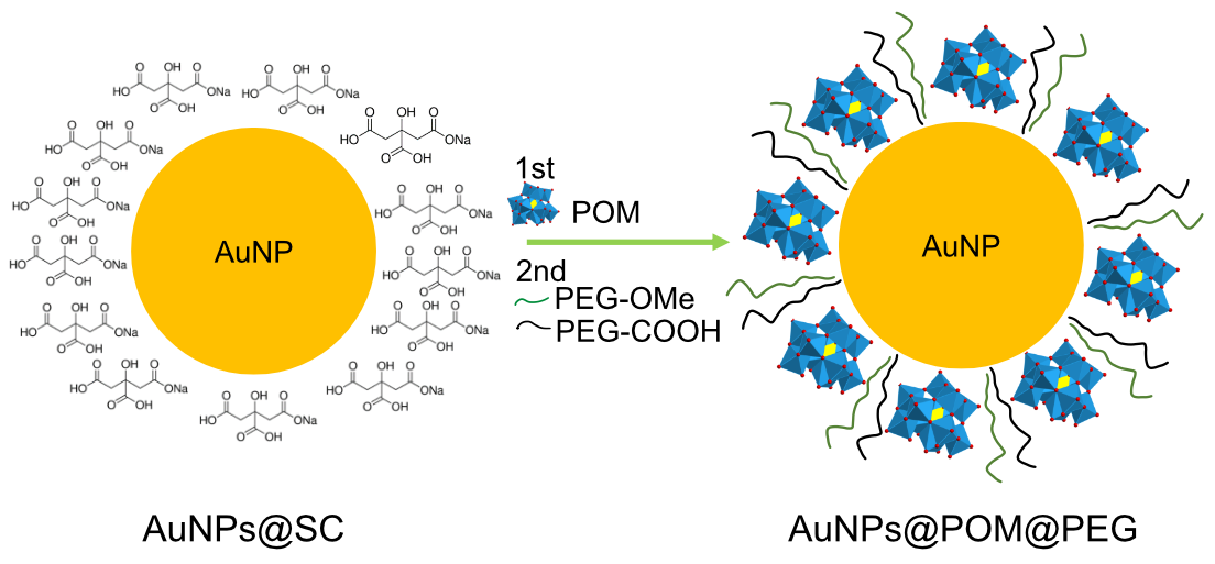 Nanomaterials 13 02697 sch001