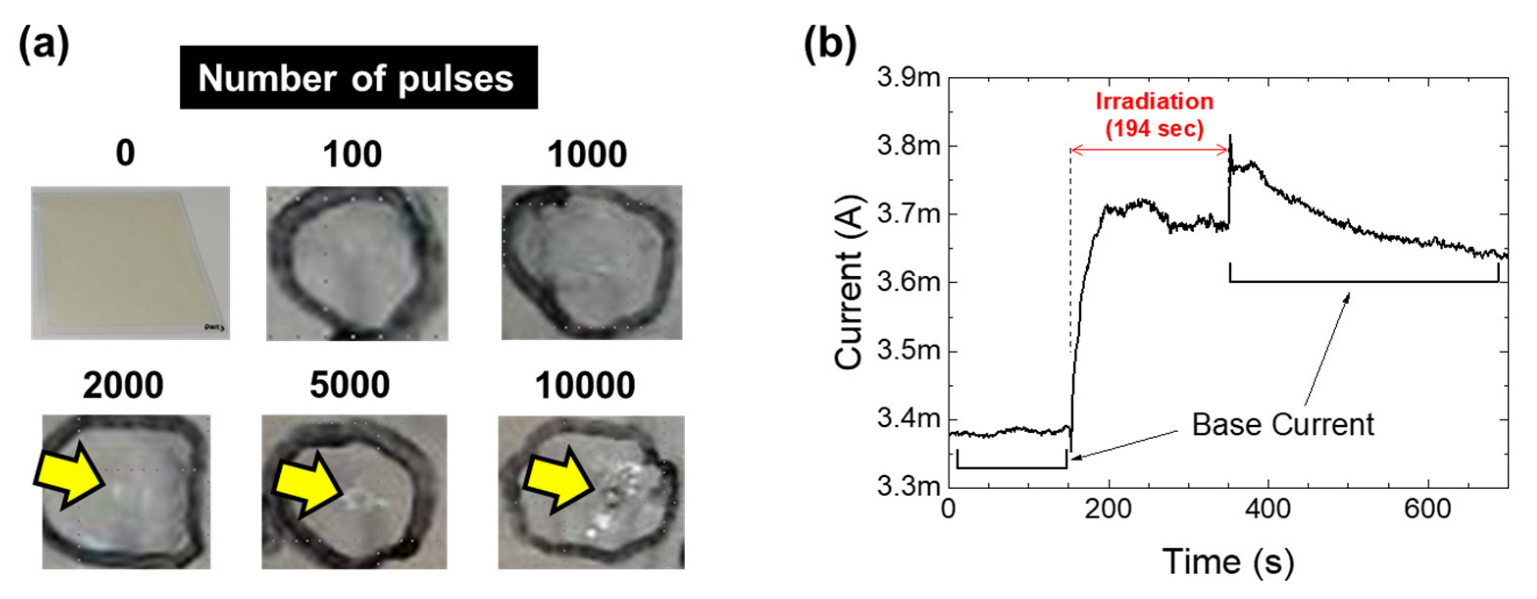 Nanomaterials 13 02706 g005