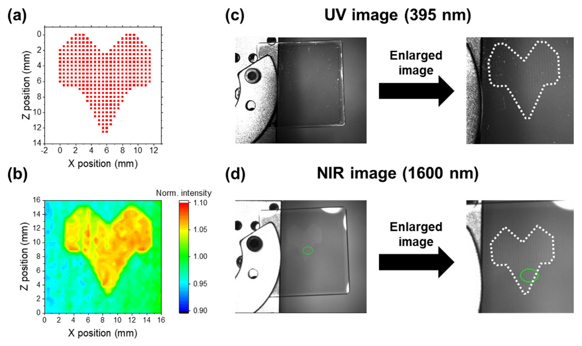 Nanomaterials 13 02706 g008