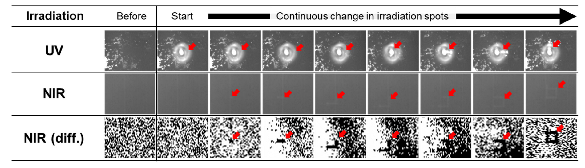 Nanomaterials 13 02706 g009