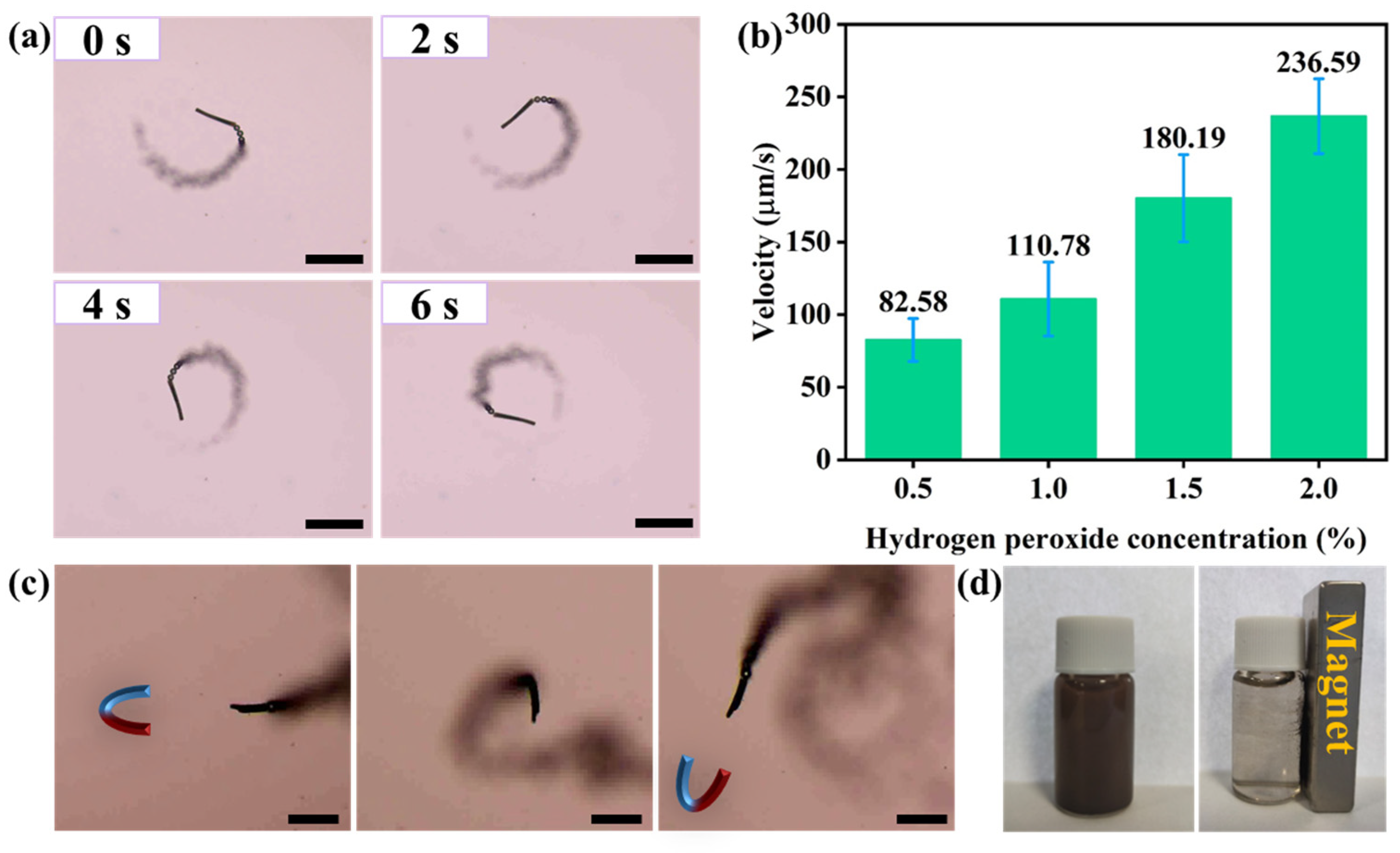 Nanomaterials 13 02710 g004