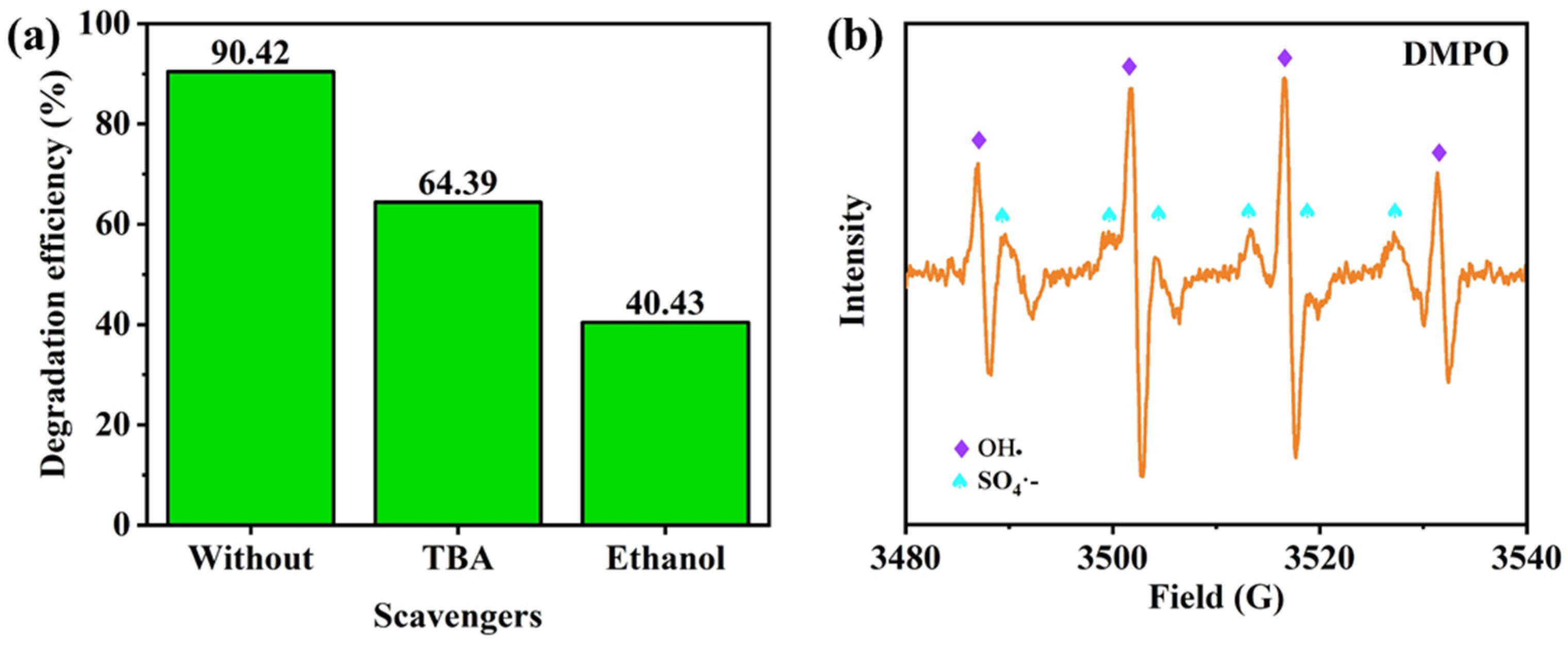 Nanomaterials 13 02710 g006