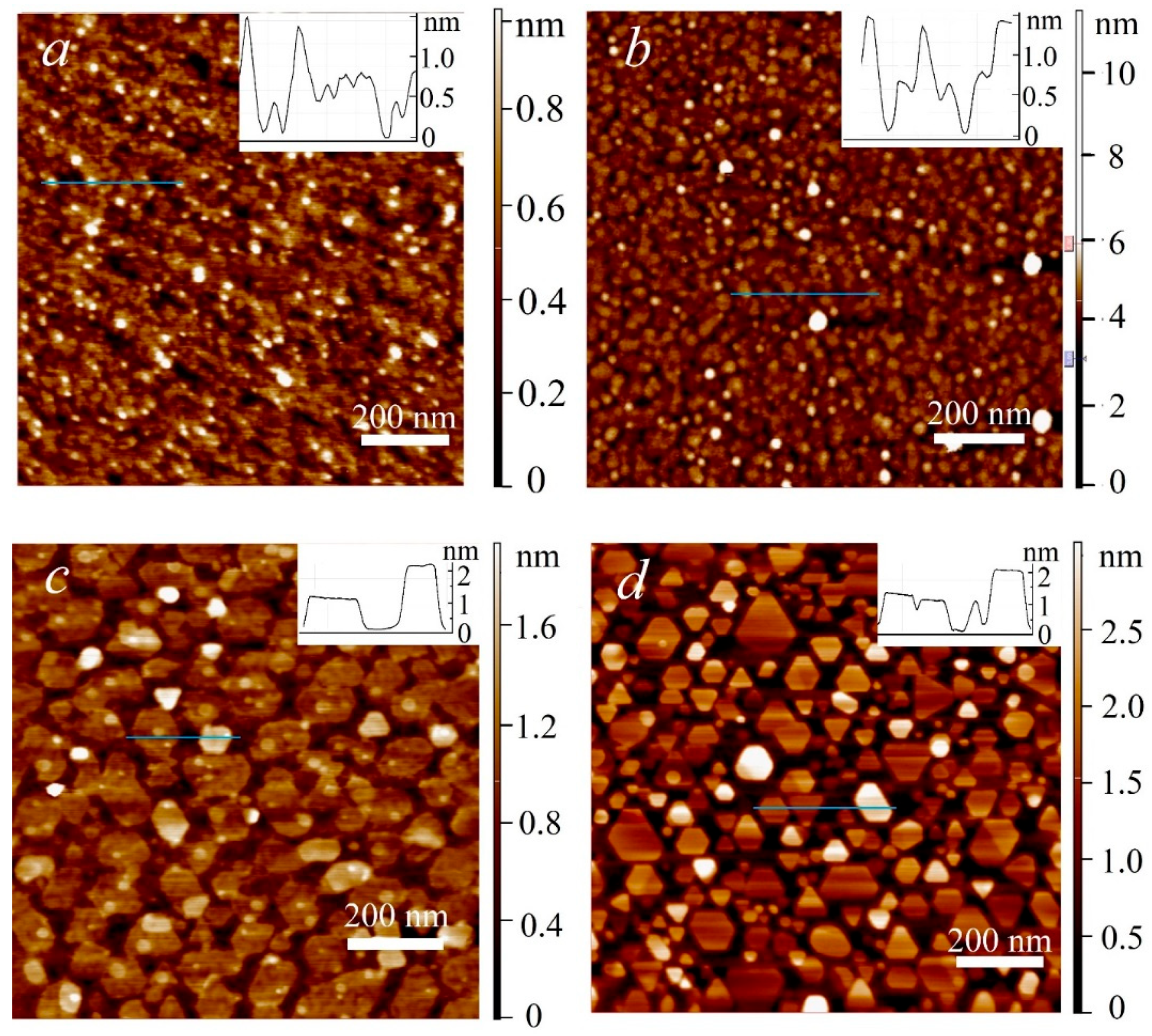 Nanomaterials 13 02712 g001