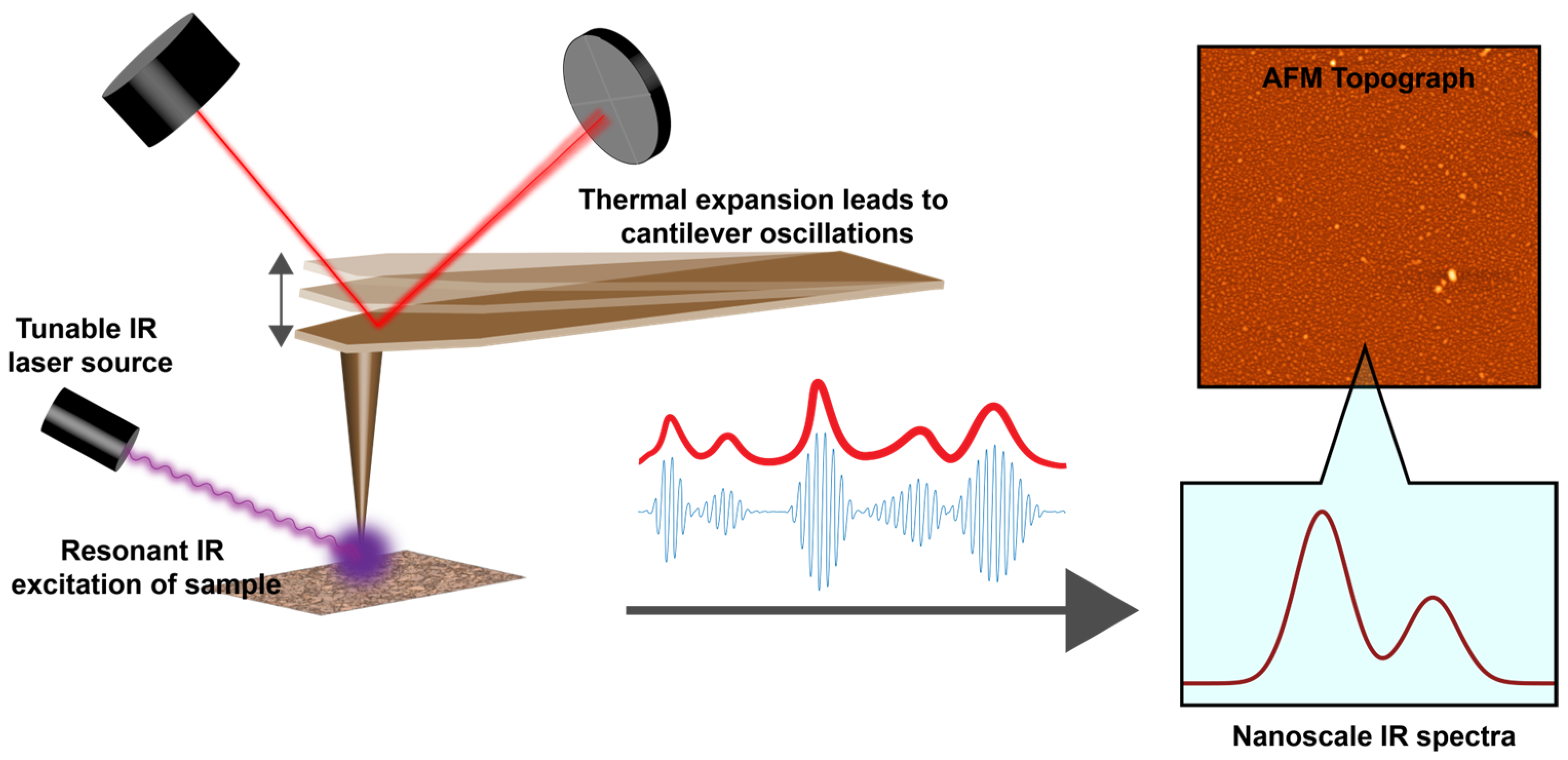 Nanomaterials 13 02713 g001