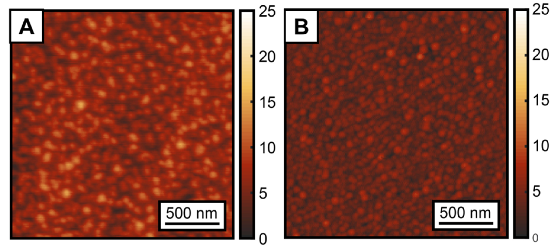 Nanomaterials 13 02713 g005