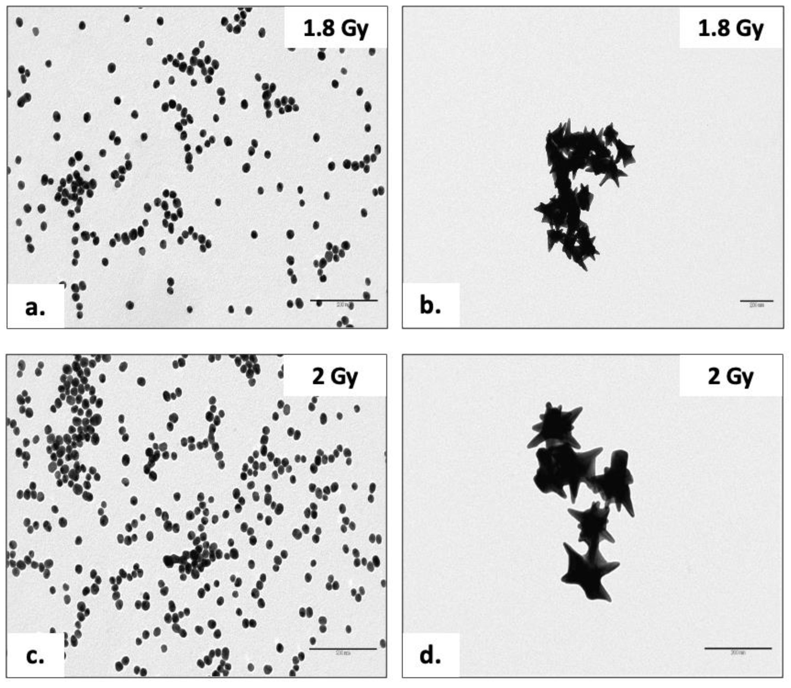 Nanomaterials 13 02719 g008