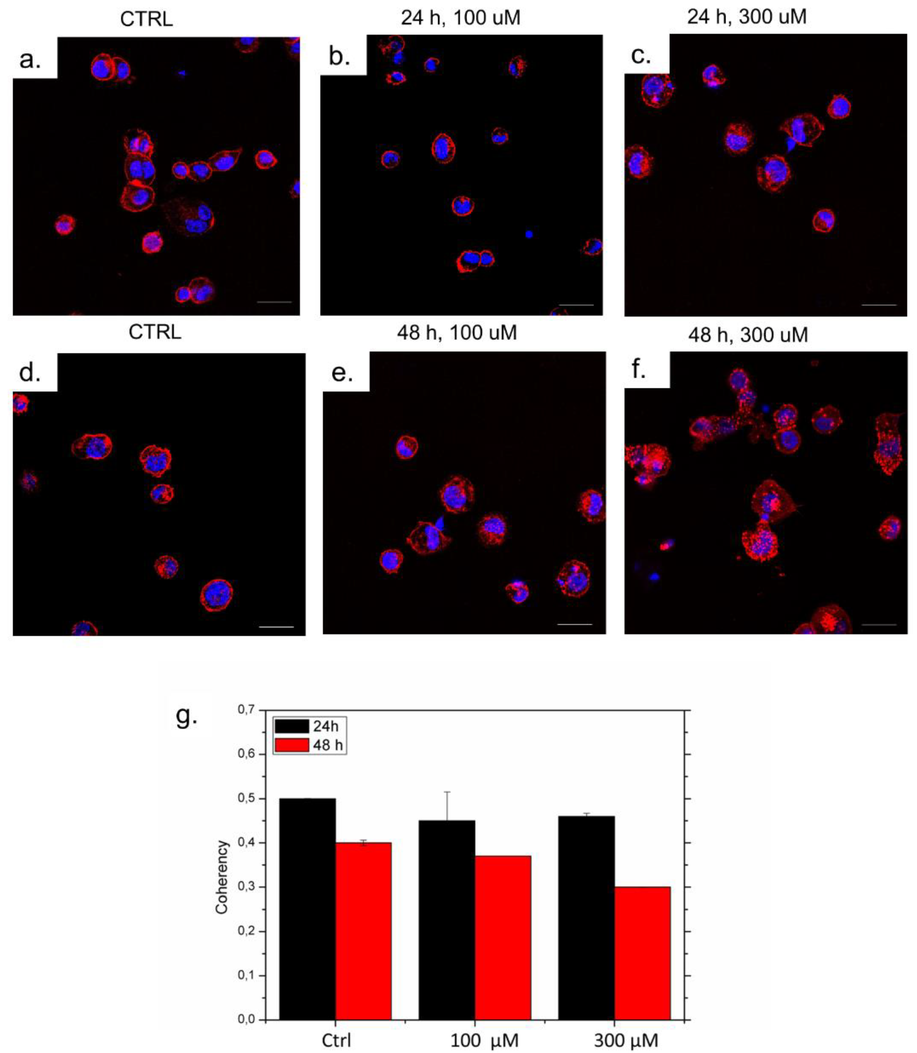 Nanomaterials 13 02719 g010