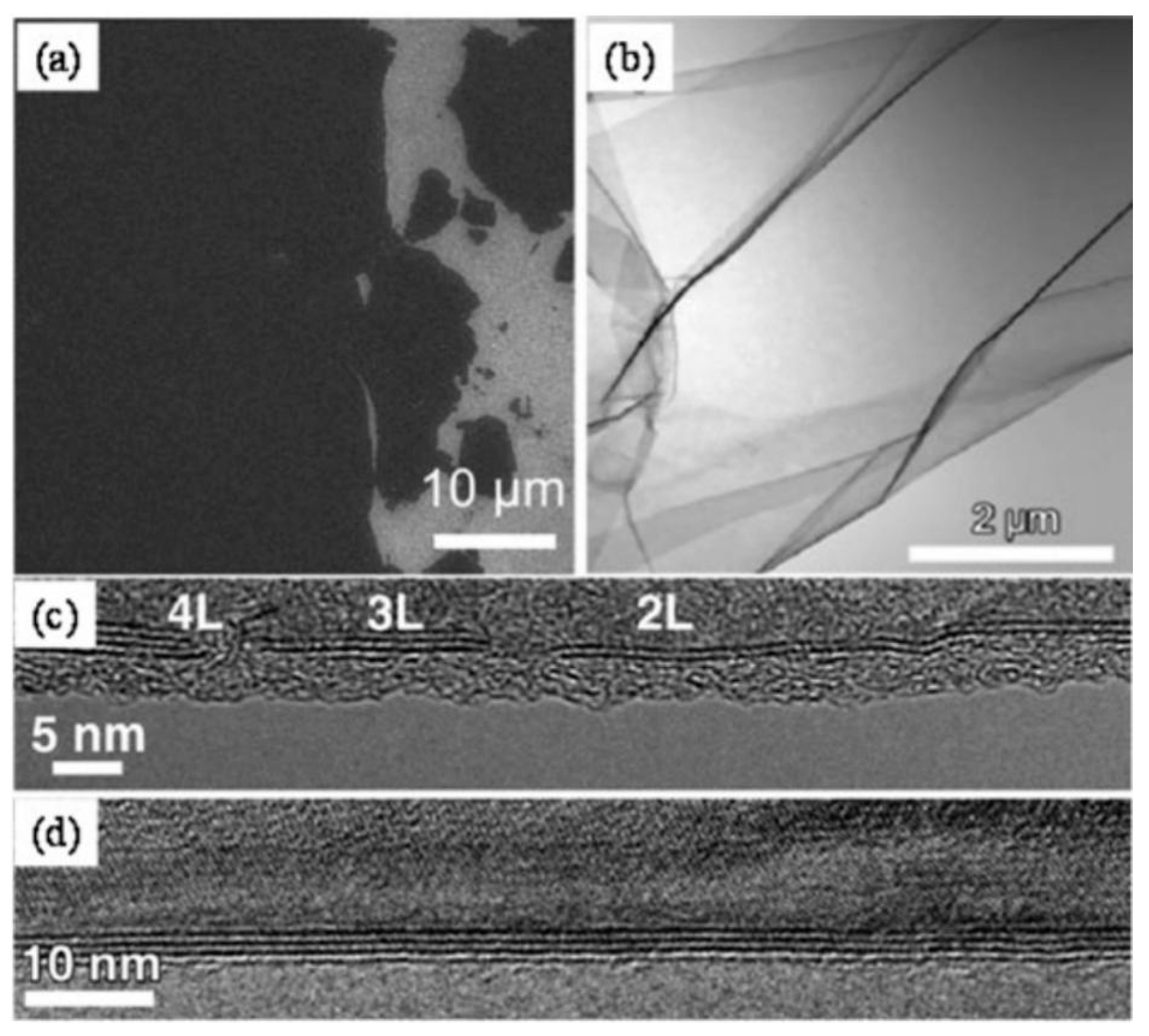 Nanomaterials 13 02720 g005