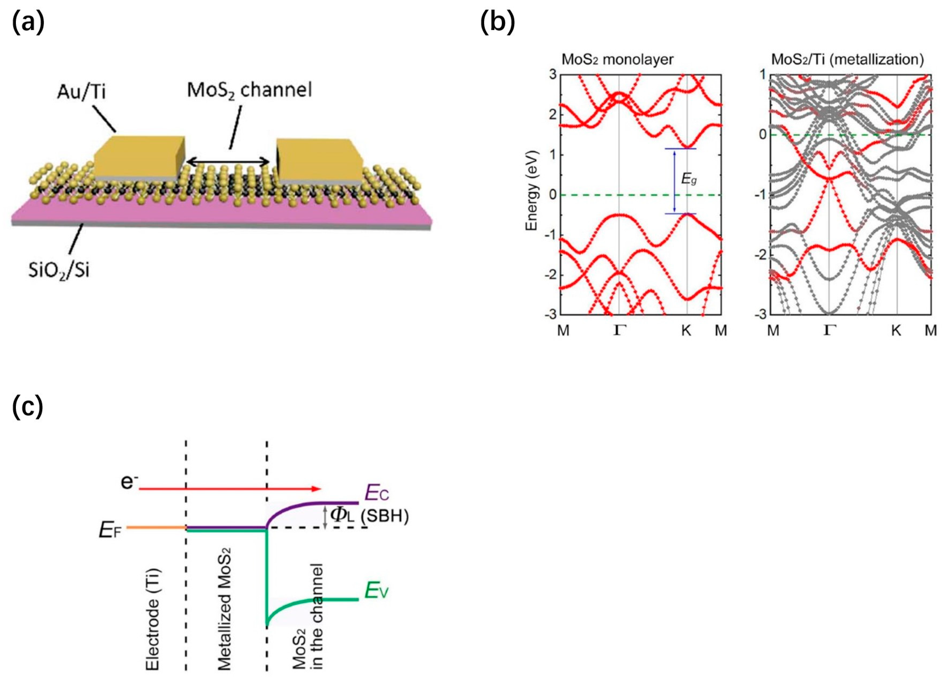 Nanomaterials 13 02720 g008