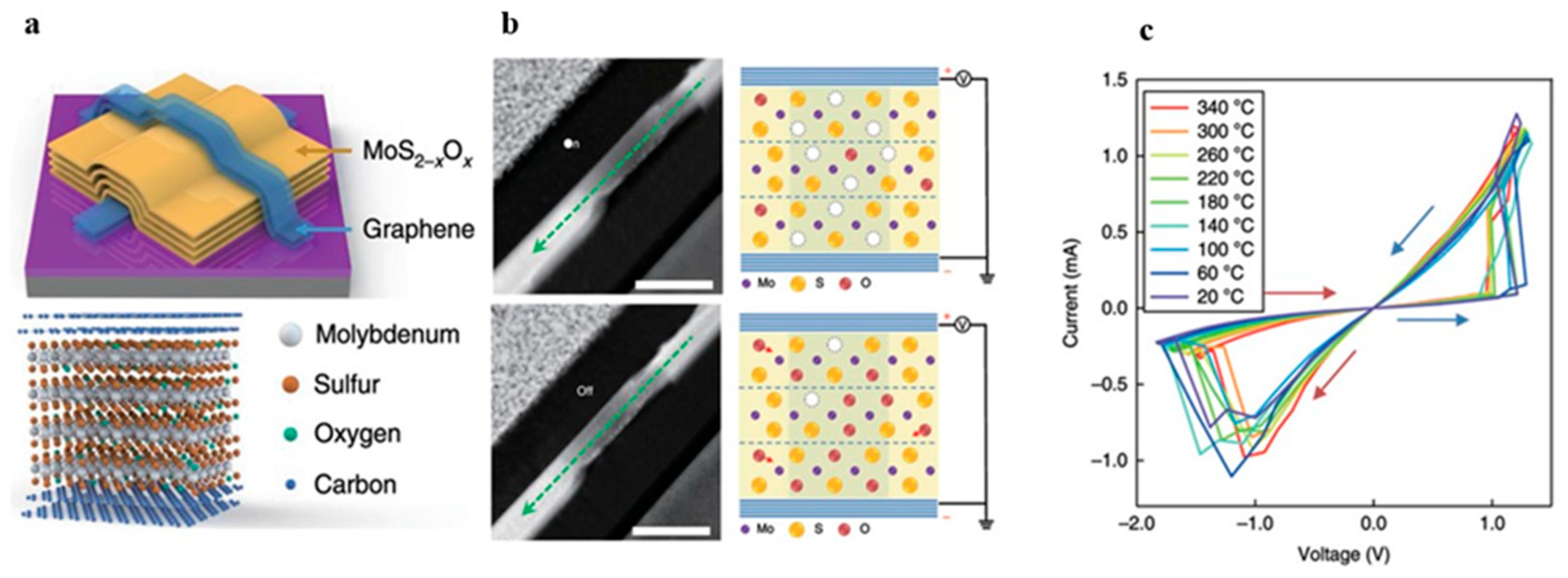 Nanomaterials 13 02720 g010