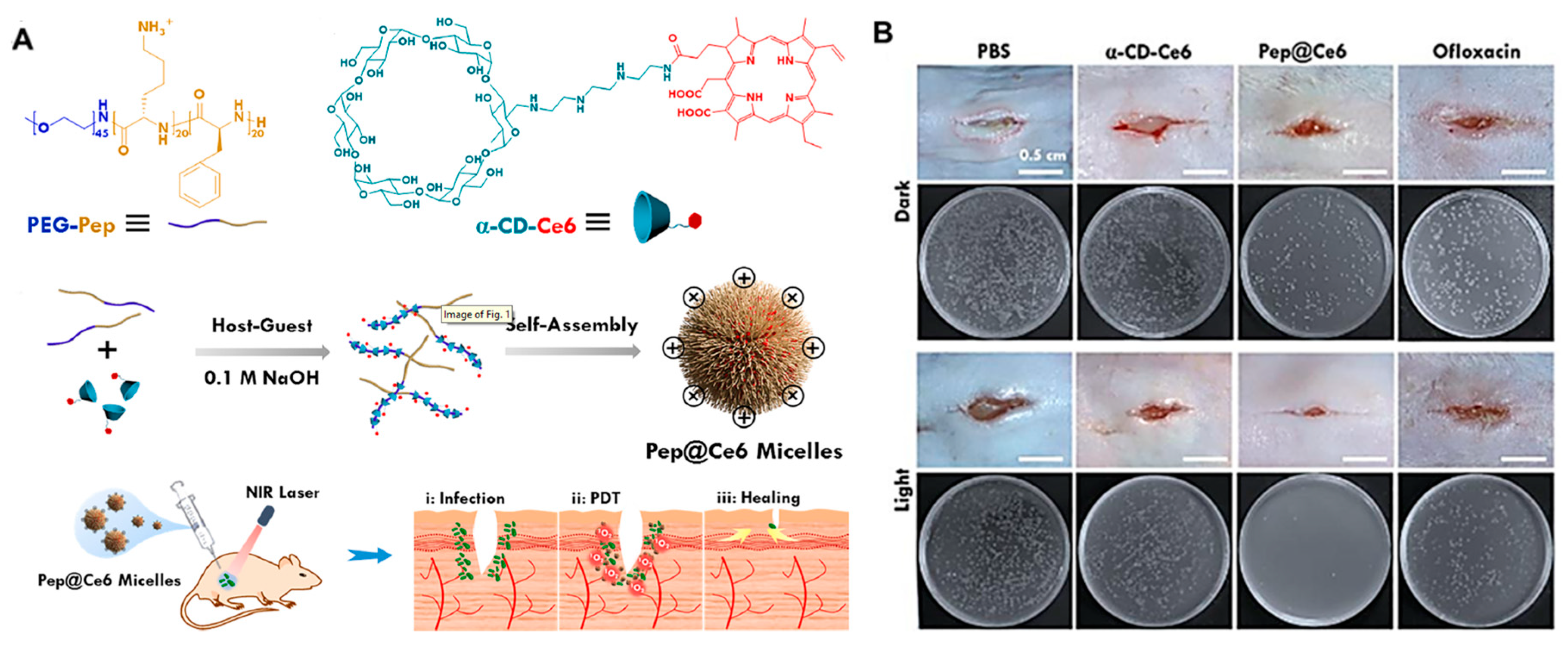 Nanomaterials 13 02725 g001 Nanomaterials 13 02725 g001