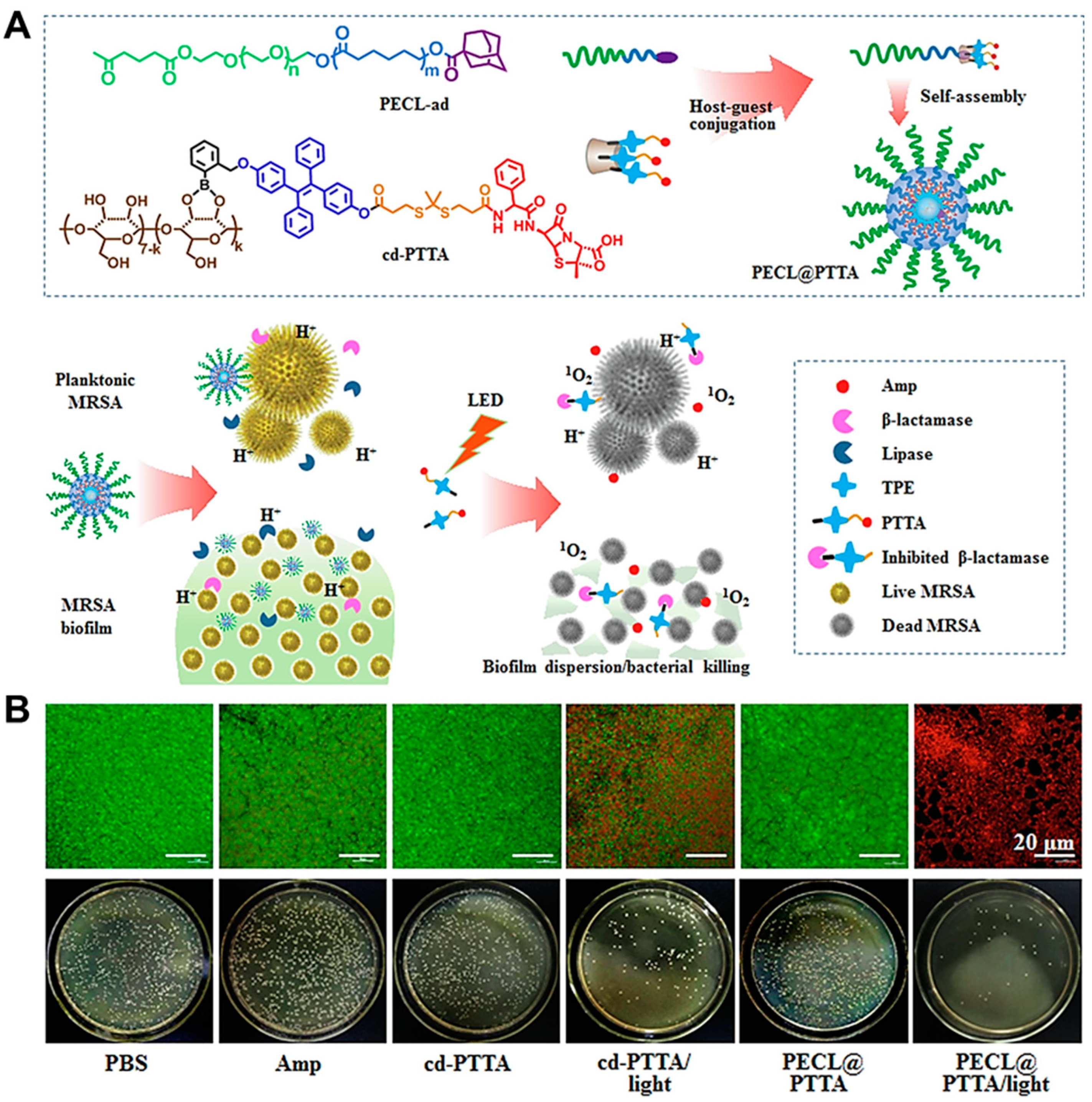 Nanomaterials 13 02725 g002 Nanomaterials 13 02725 g002
