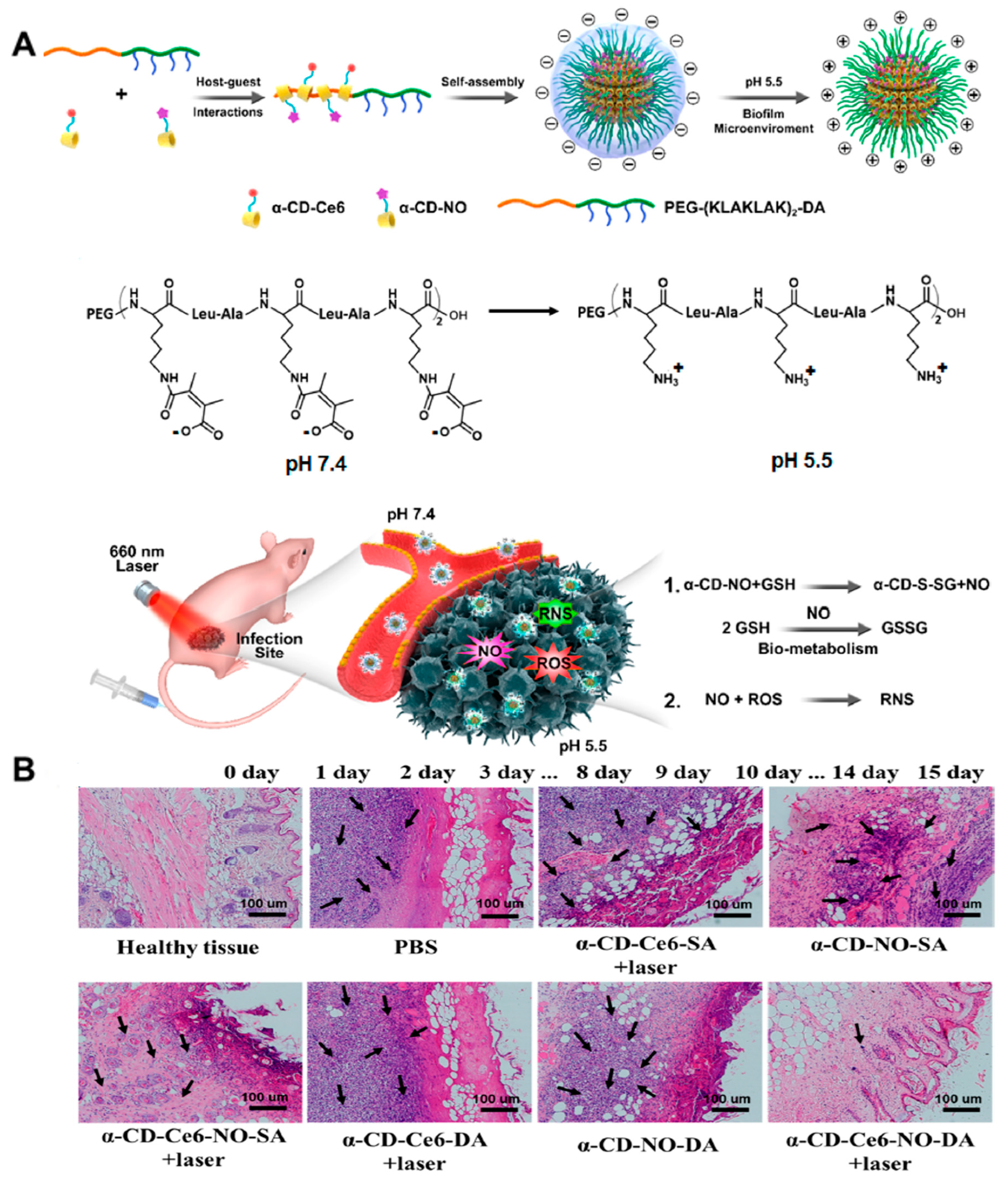 Nanomaterials 13 02725 g004 Nanomaterials 13 02725 g004