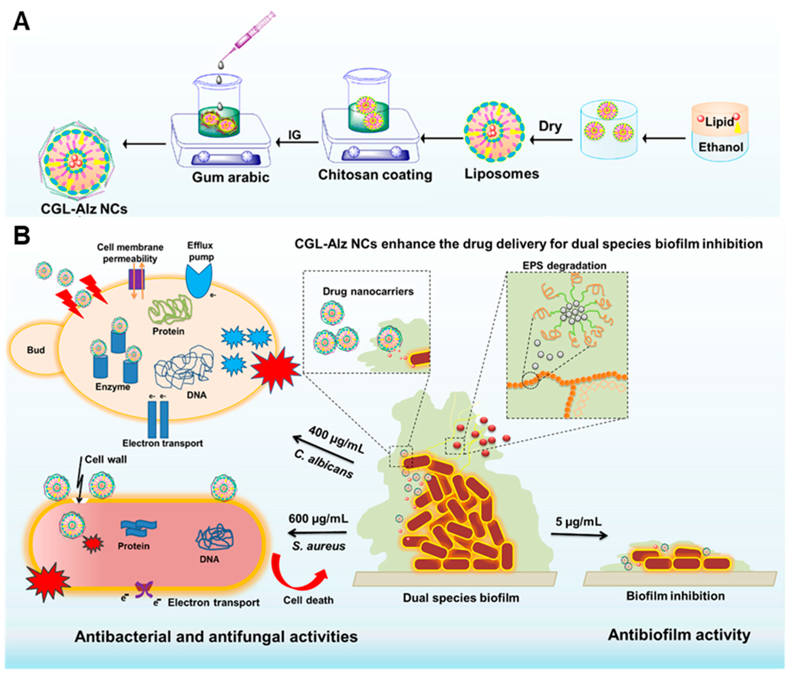Nanomaterials 13 02725 g005 Nanomaterials 13 02725 g005
