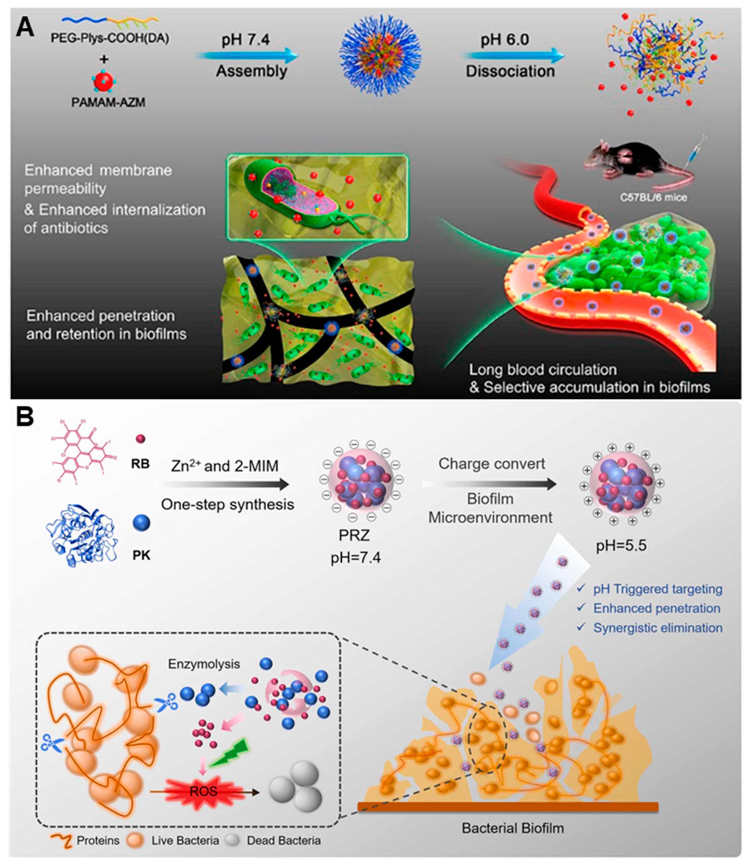 Nanomaterials 13 02725 g007 Nanomaterials 13 02725 g007