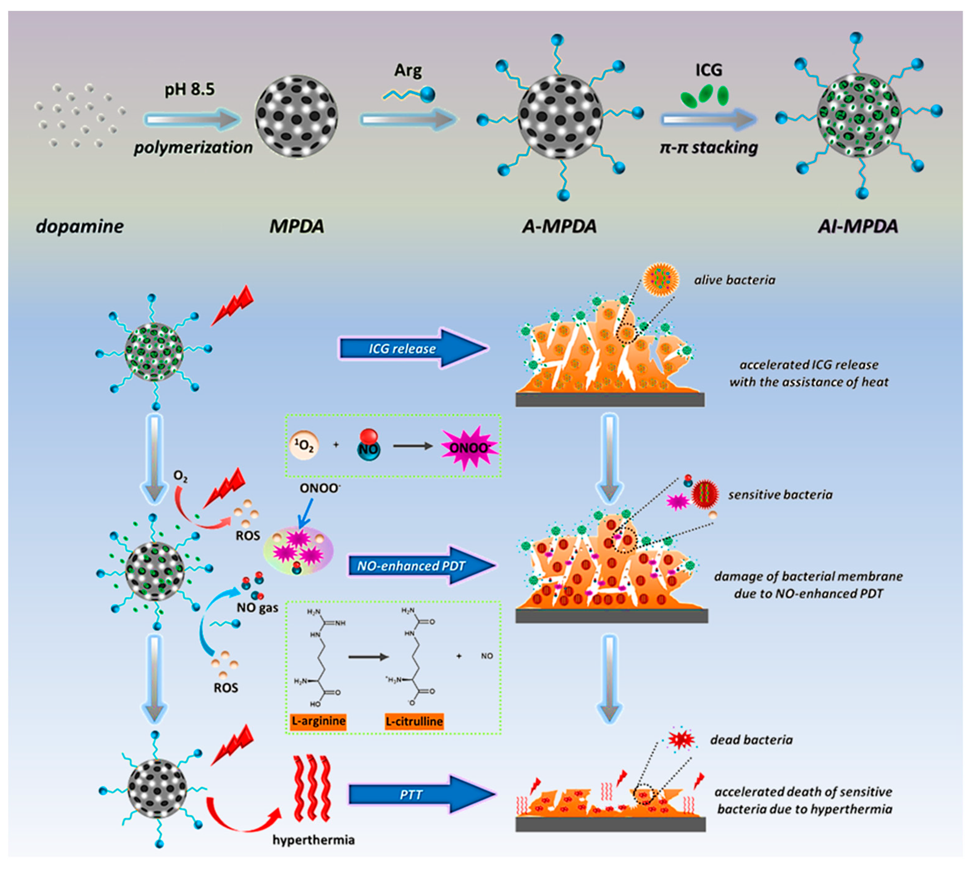 Nanomaterials 13 02725 g008 Nanomaterials 13 02725 g008