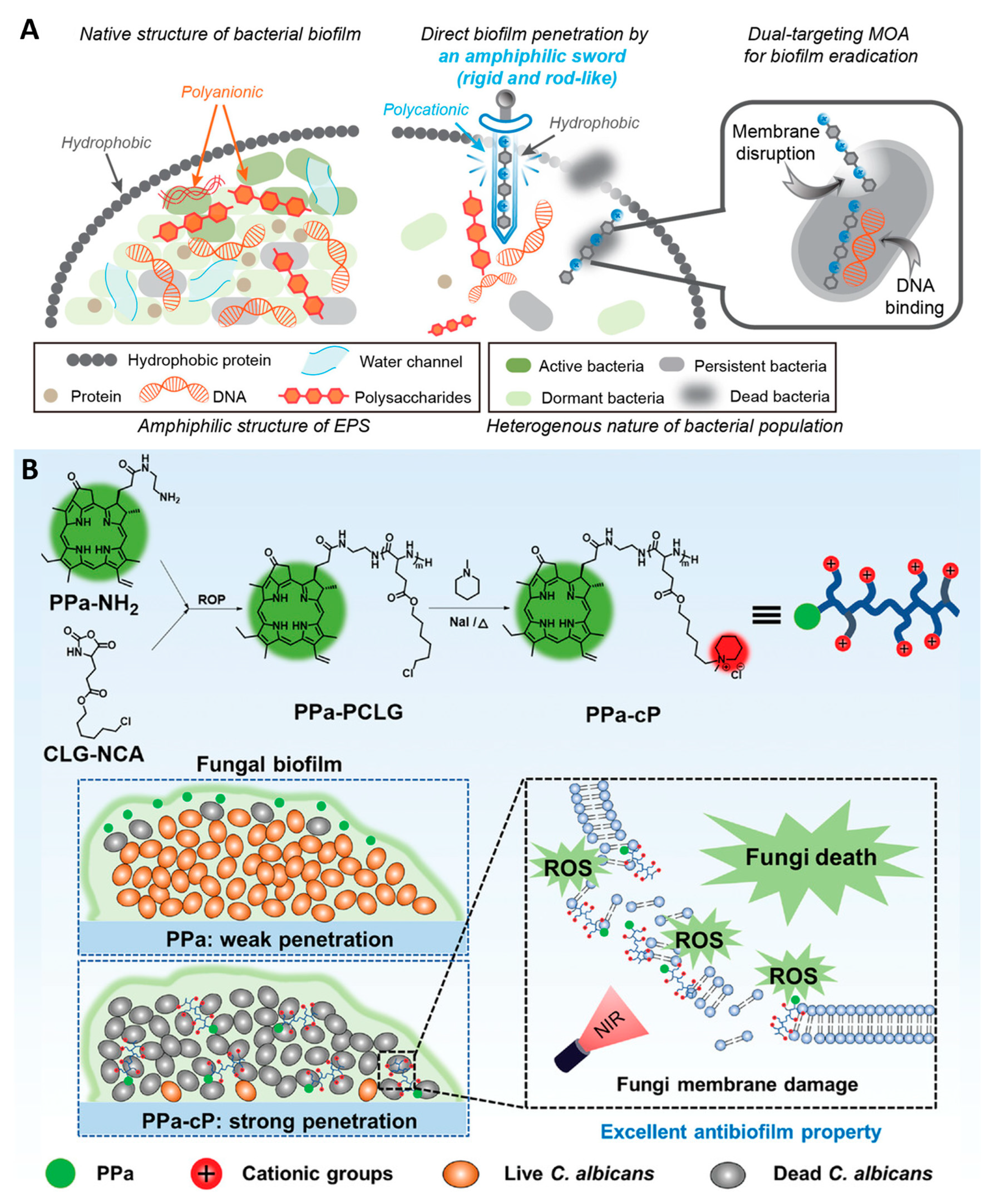 Nanomaterials 13 02725 g010 Nanomaterials 13 02725 g010