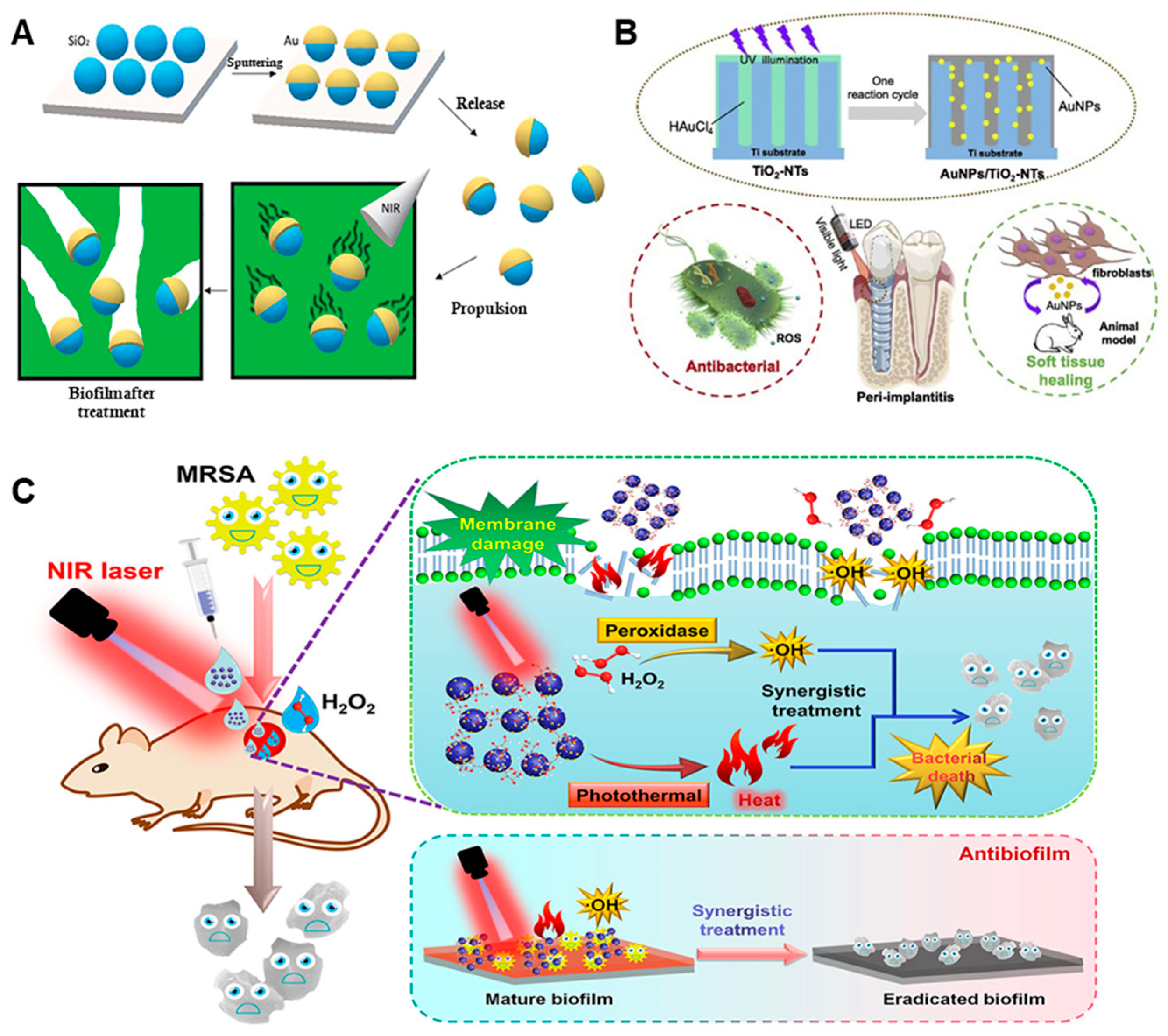 Nanomaterials 13 02725 g011 Nanomaterials 13 02725 g011
