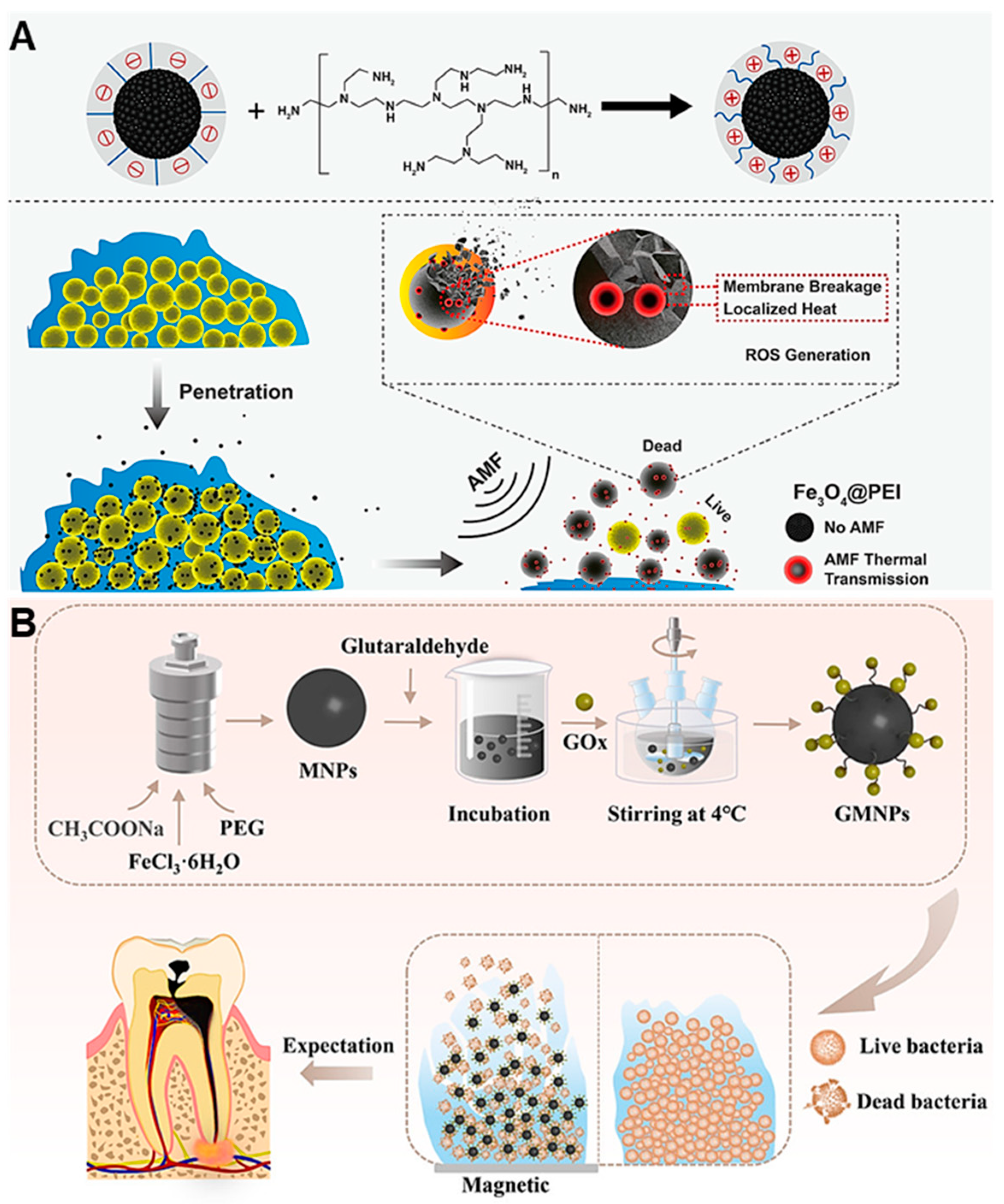 Nanomaterials 13 02725 g013 Nanomaterials 13 02725 g013
