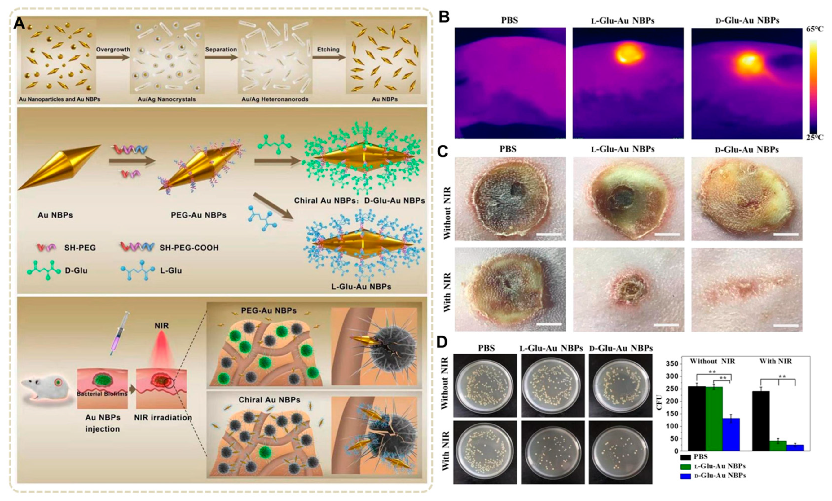 Nanomaterials 13 02725 g015 Nanomaterials 13 02725 g015